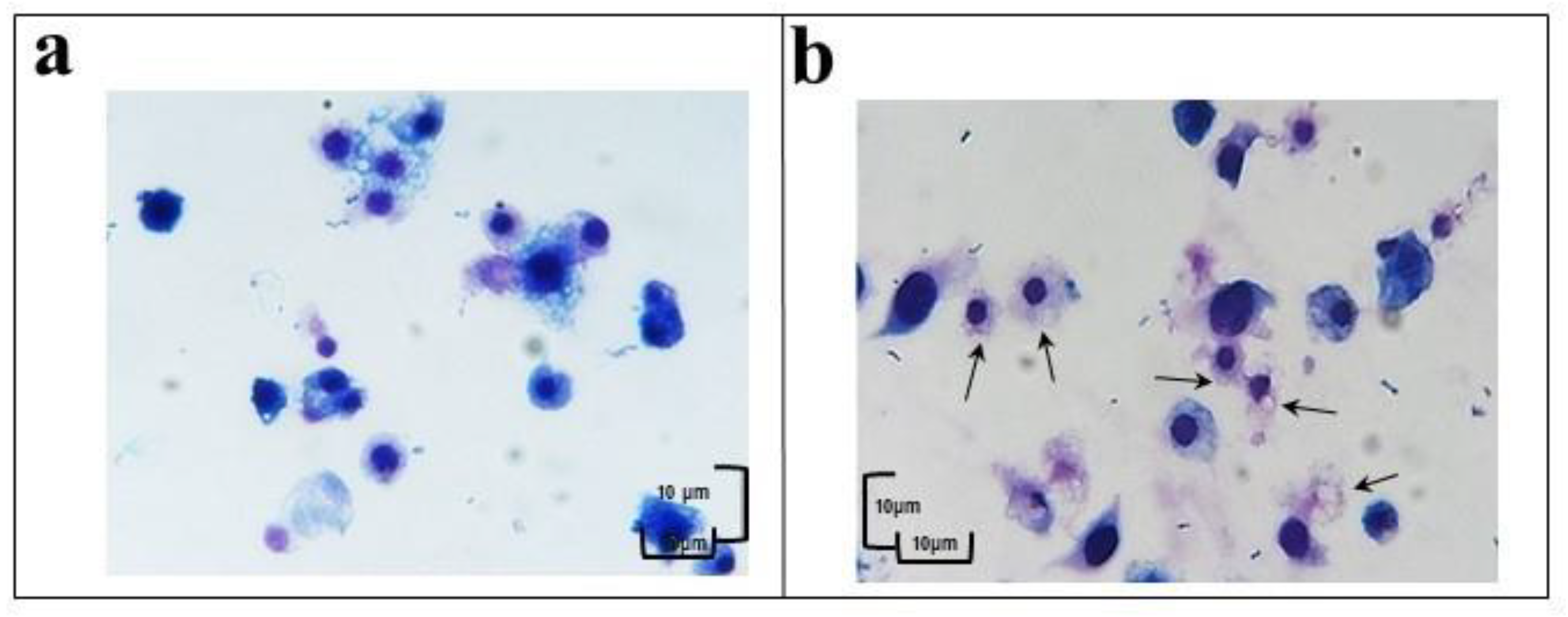 Insects 12 00033 g002 Insects 12 00033 g002