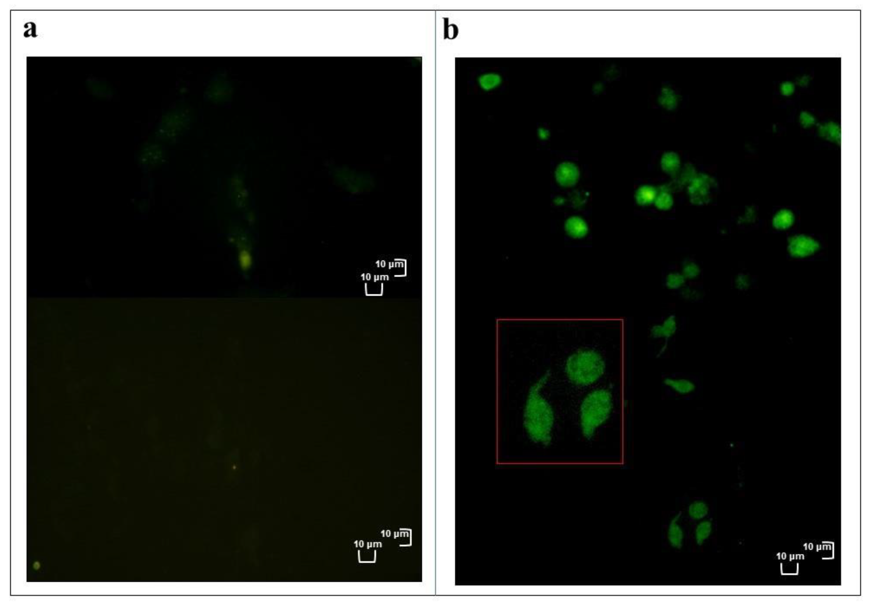 Insects 12 00033 g004 Insects 12 00033 g004