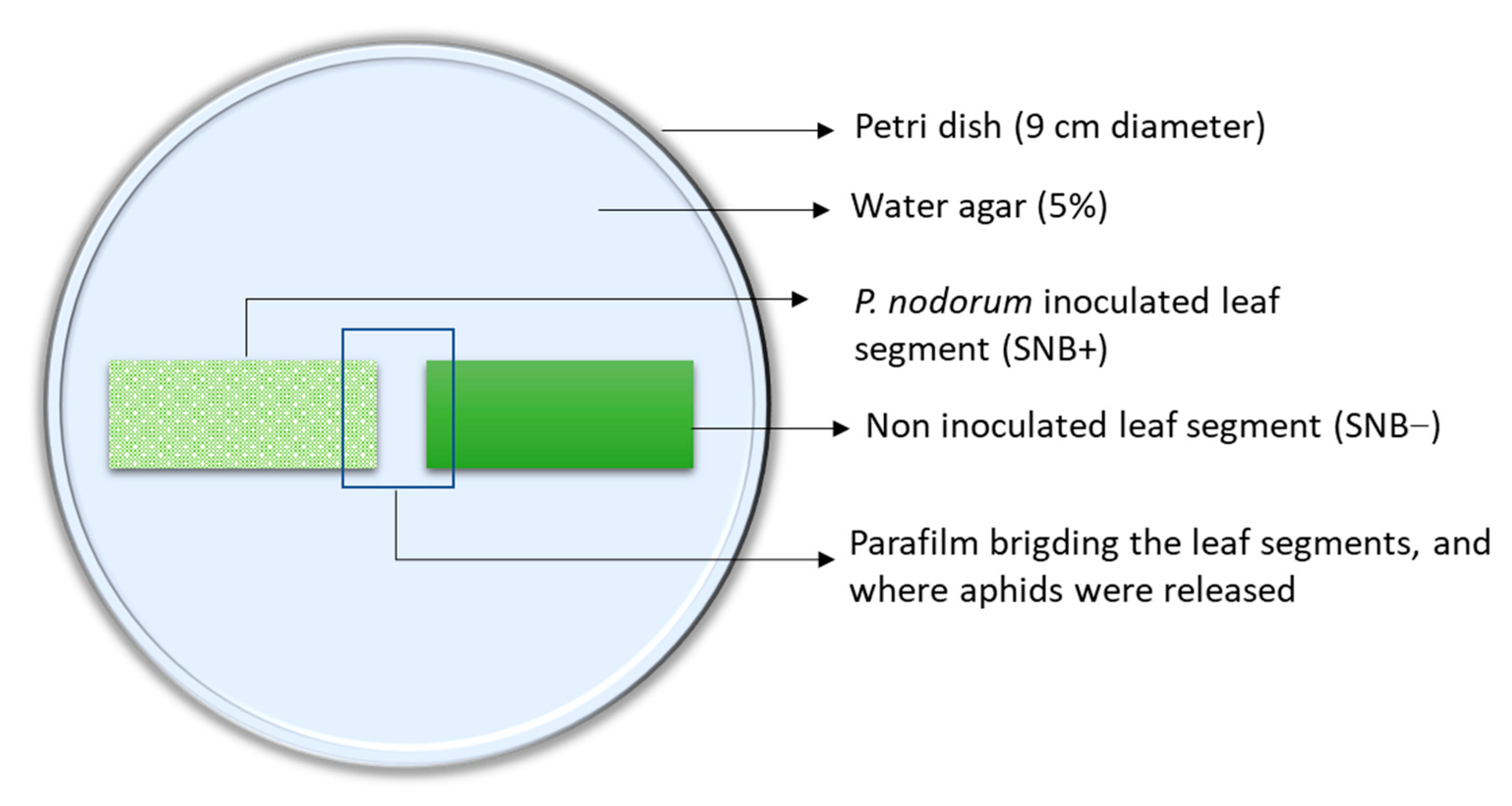 Insects 12 00035 g001 Insects 12 00035 g001