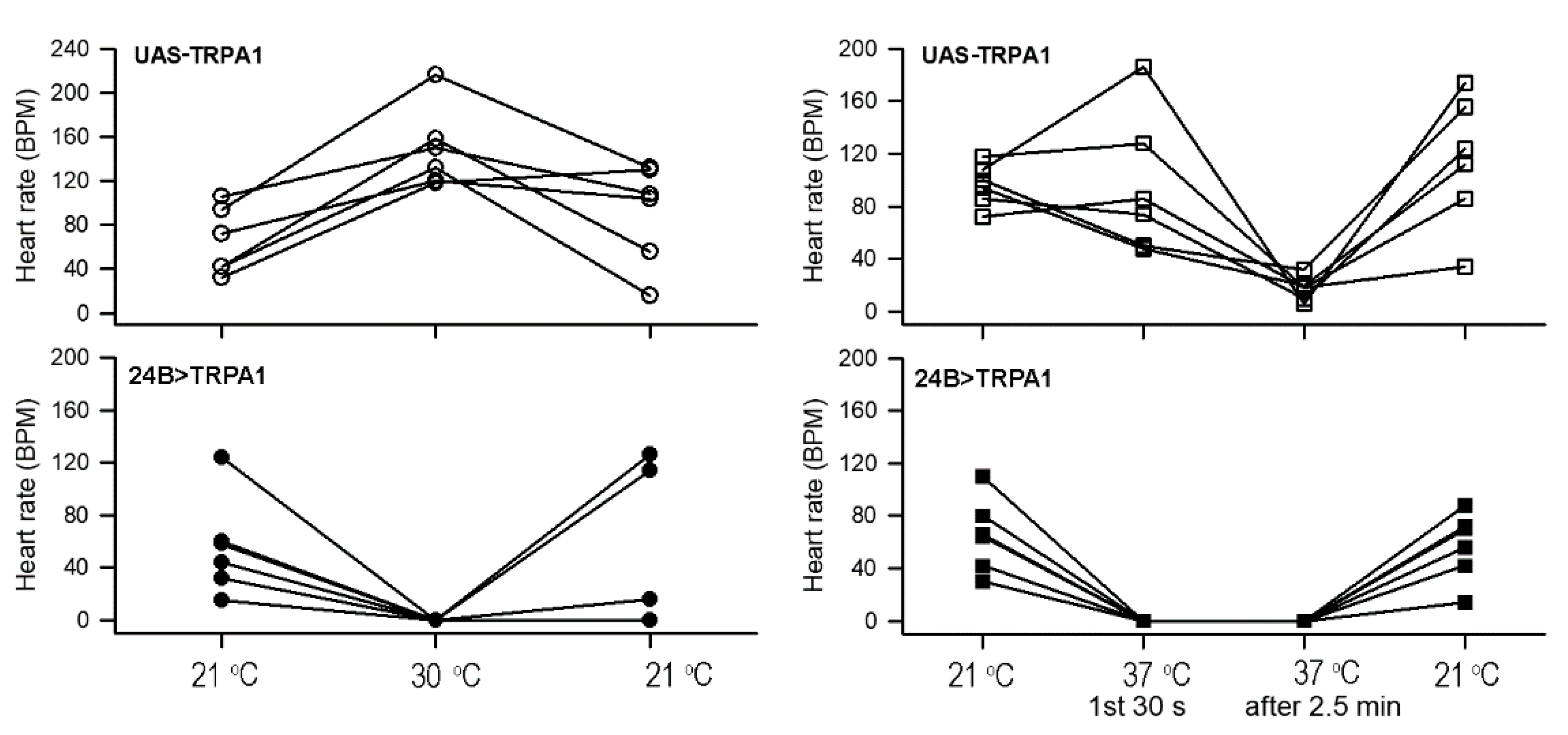 Insects 12 00038 g004 Insects 12 00038 g004
