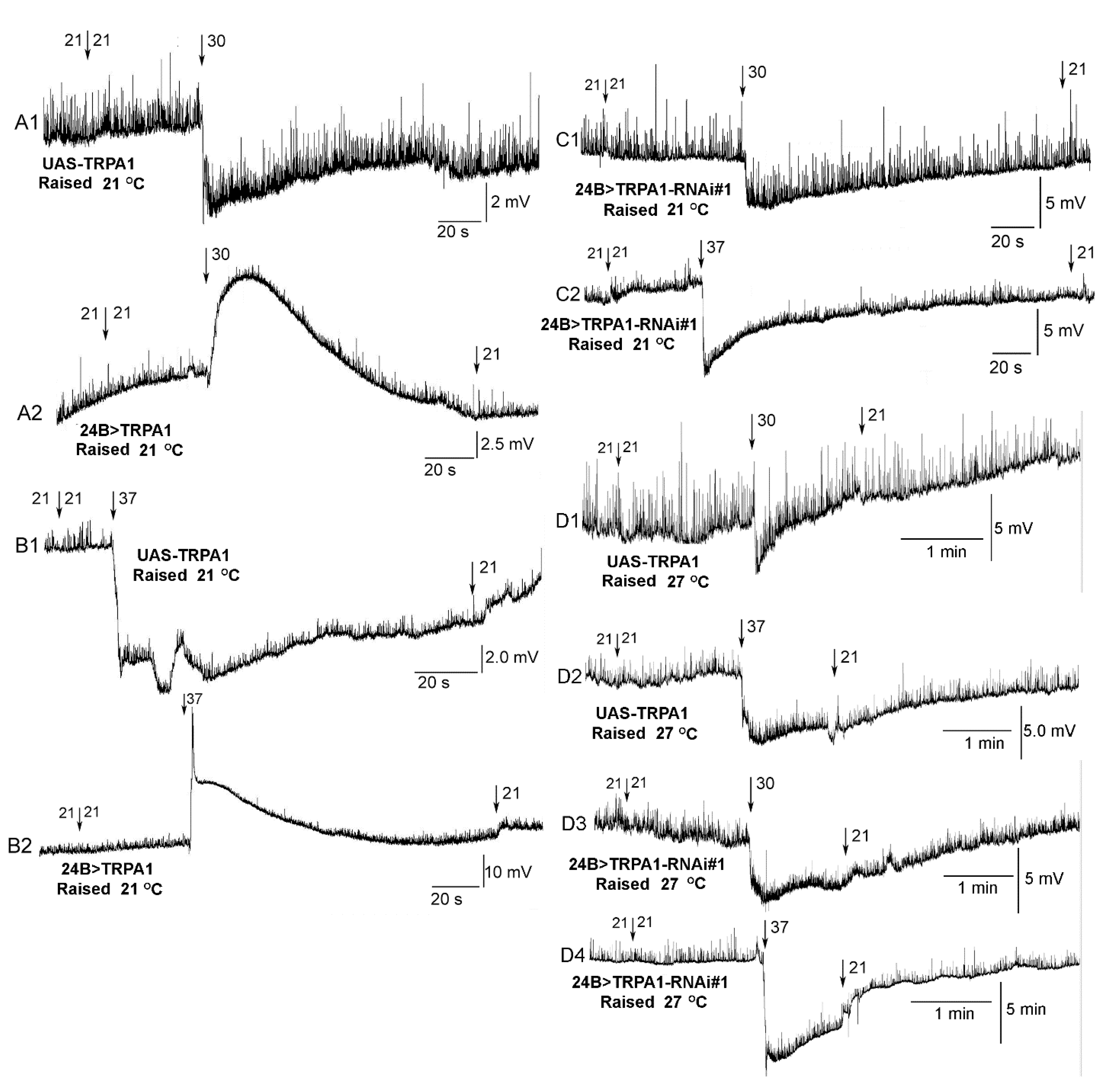 Insects 12 00038 g007 Insects 12 00038 g007