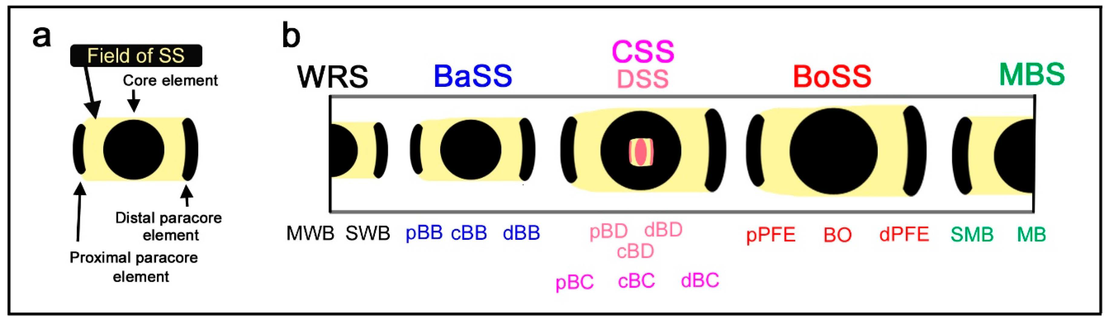 Insects 12 00039 g001