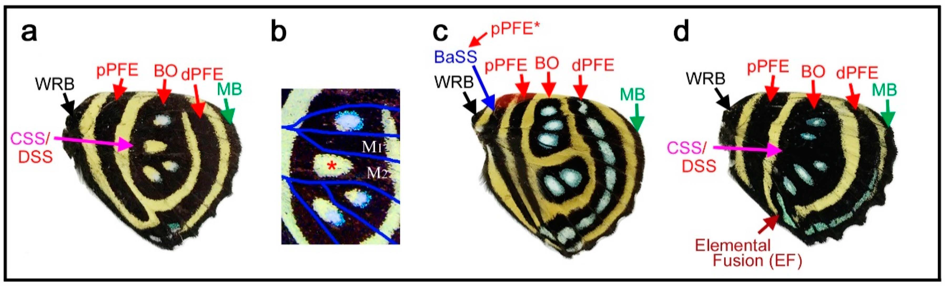 Insects 12 00039 g007