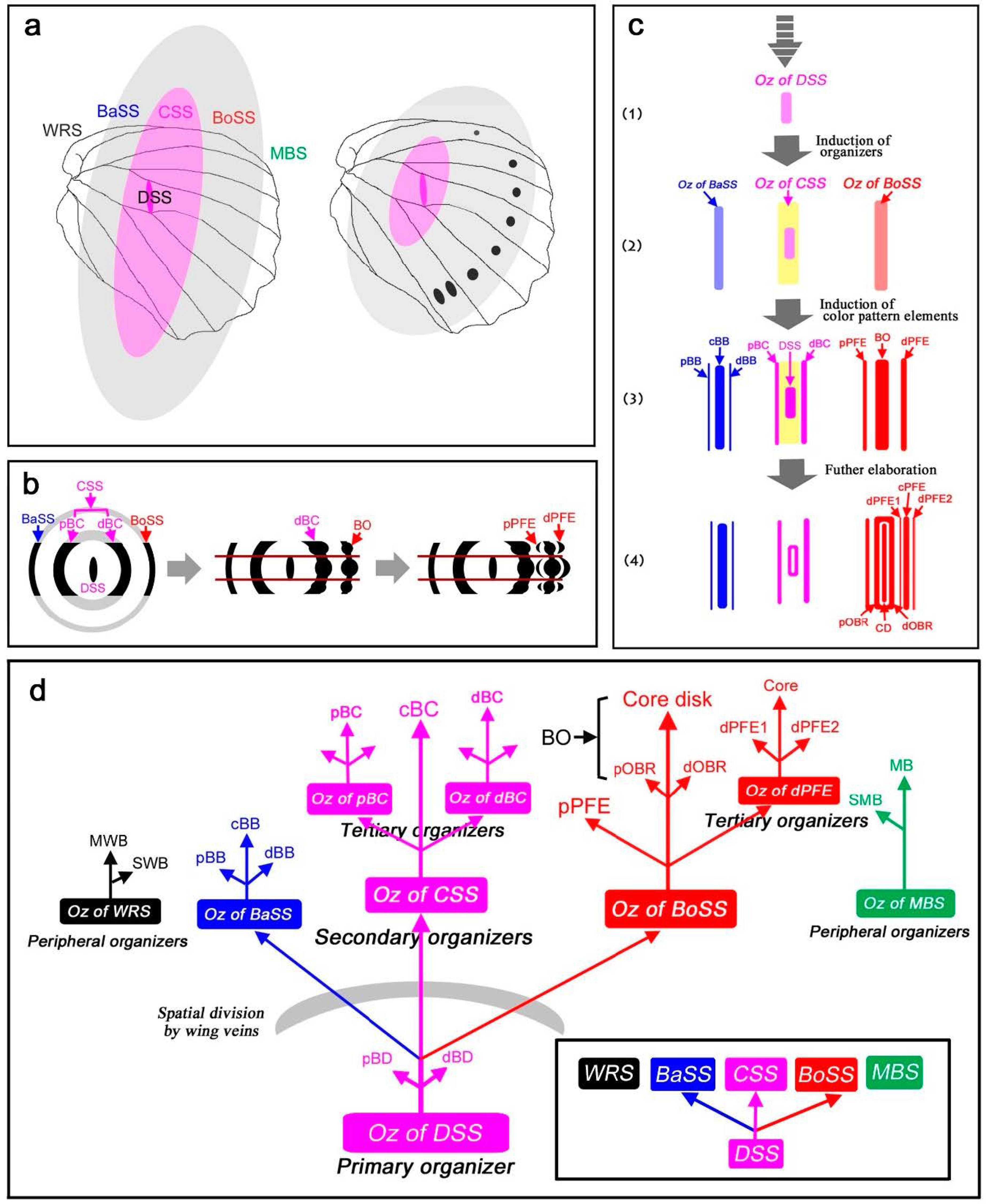Insects 12 00039 g010
