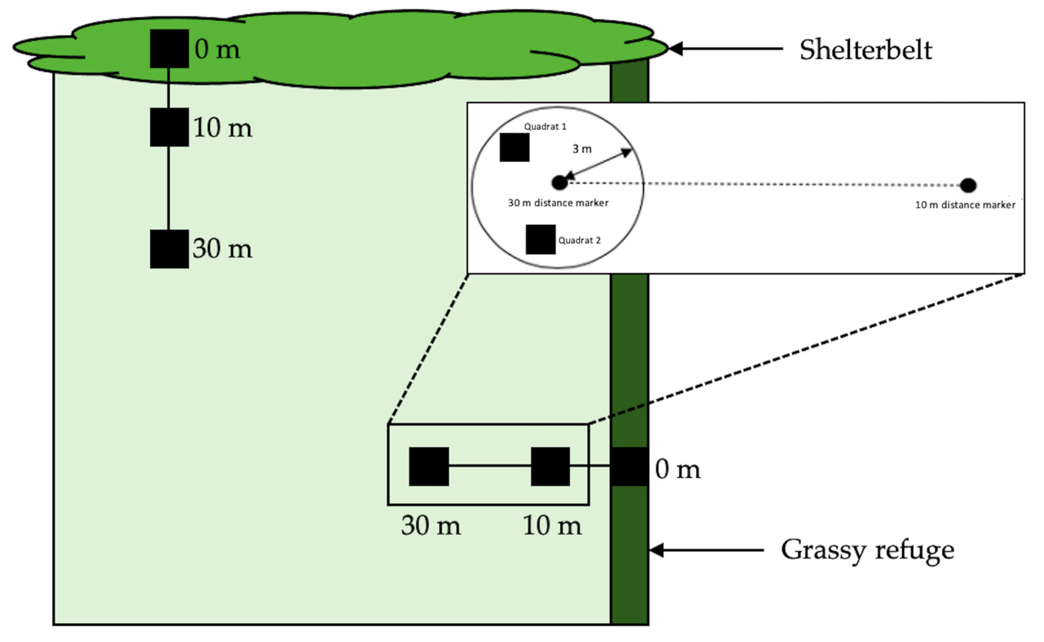 Insects 12 00044 g002 Insects 12 00044 g002