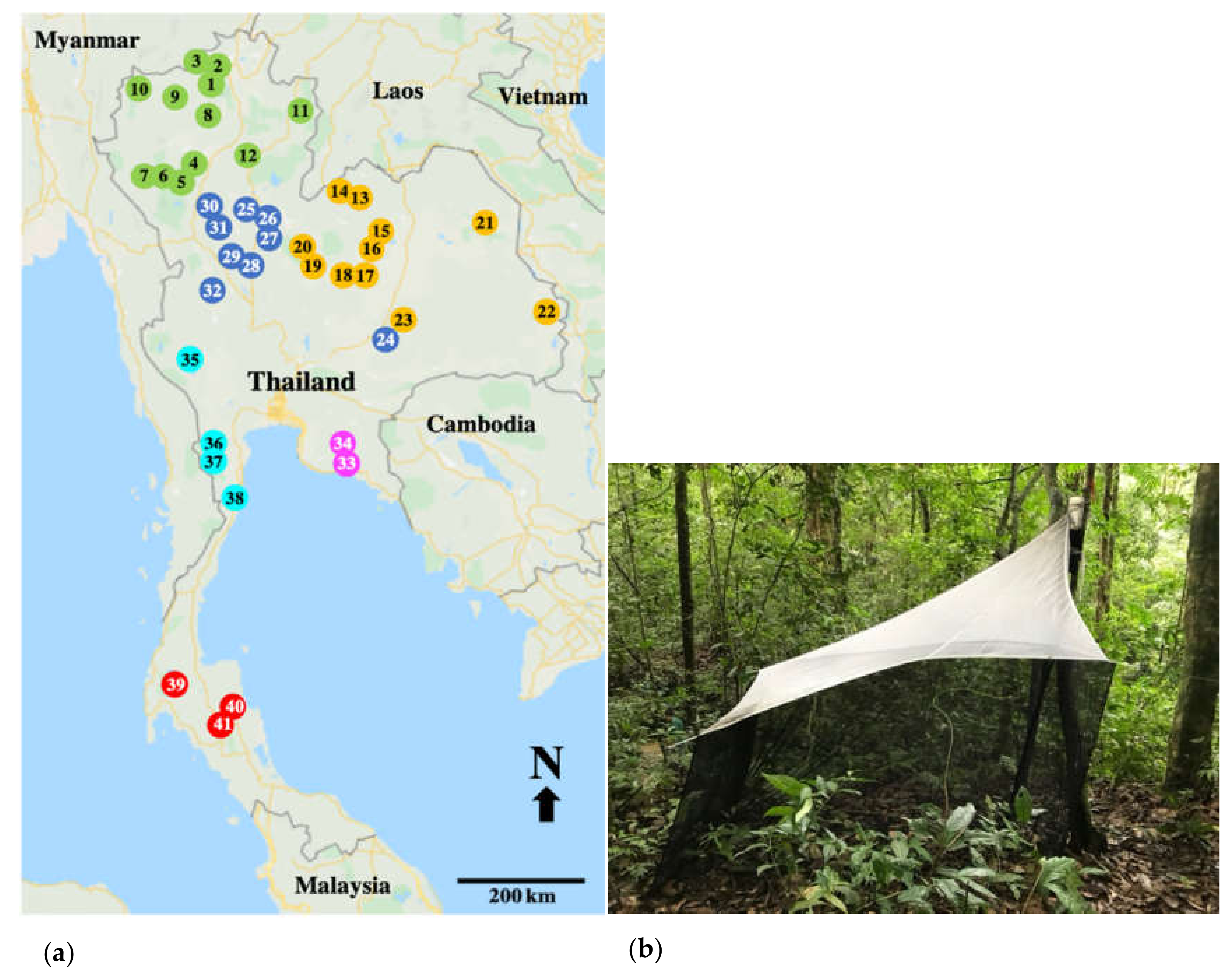 Insects 12 00045 g001 Insects 12 00045 g001