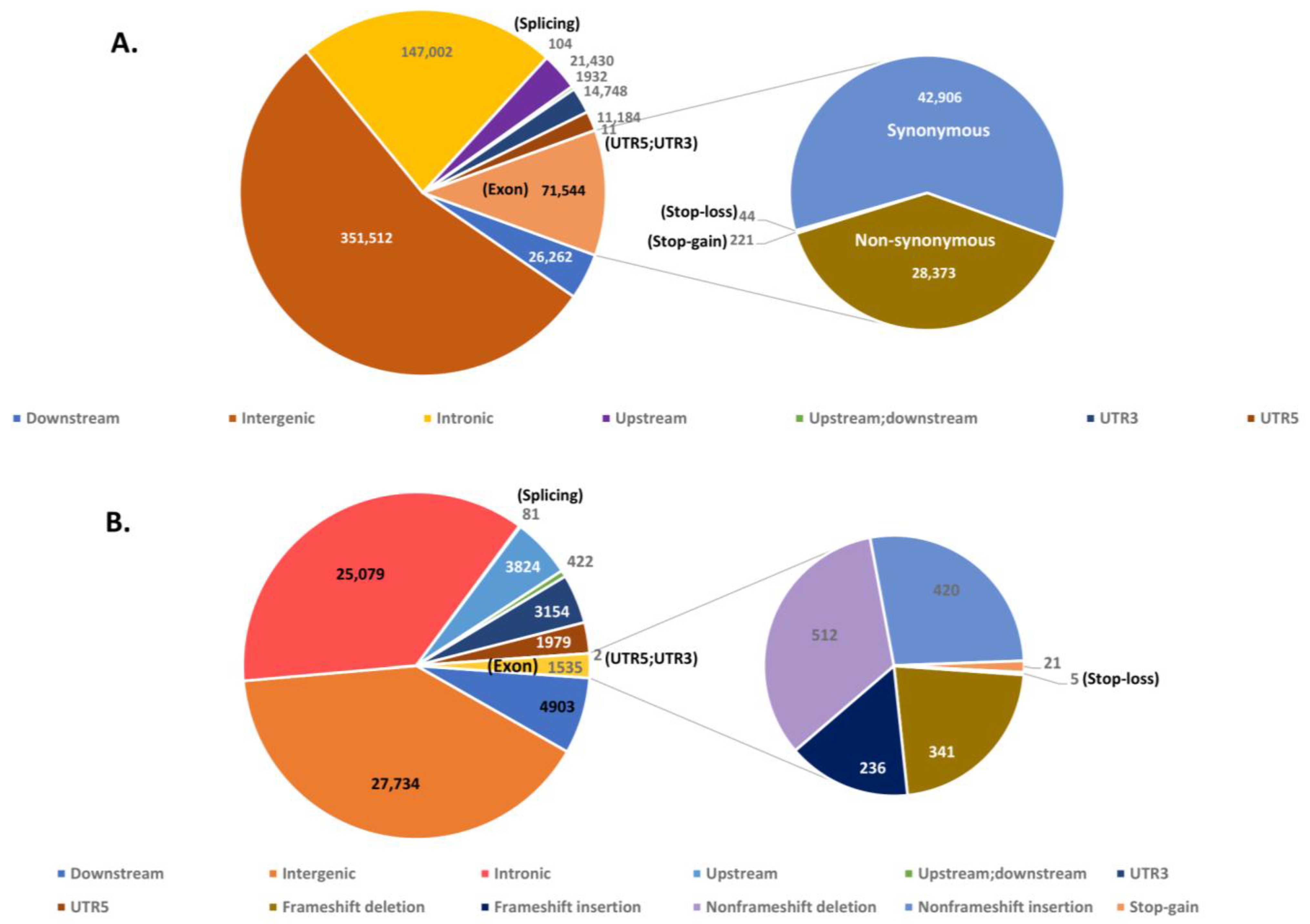 Insects 12 00049 g006