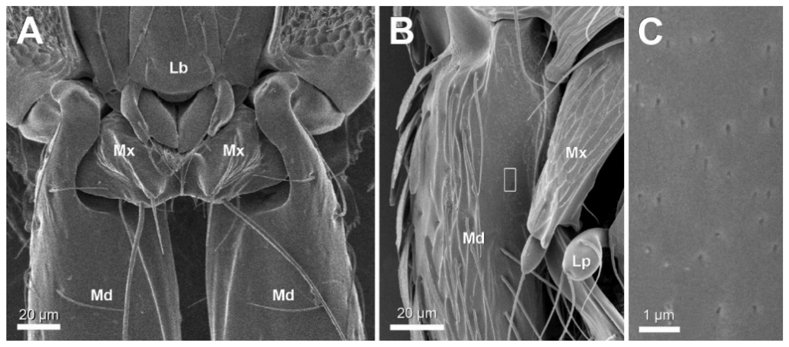 Insects 12 00050 g001 Insects 12 00050 g001