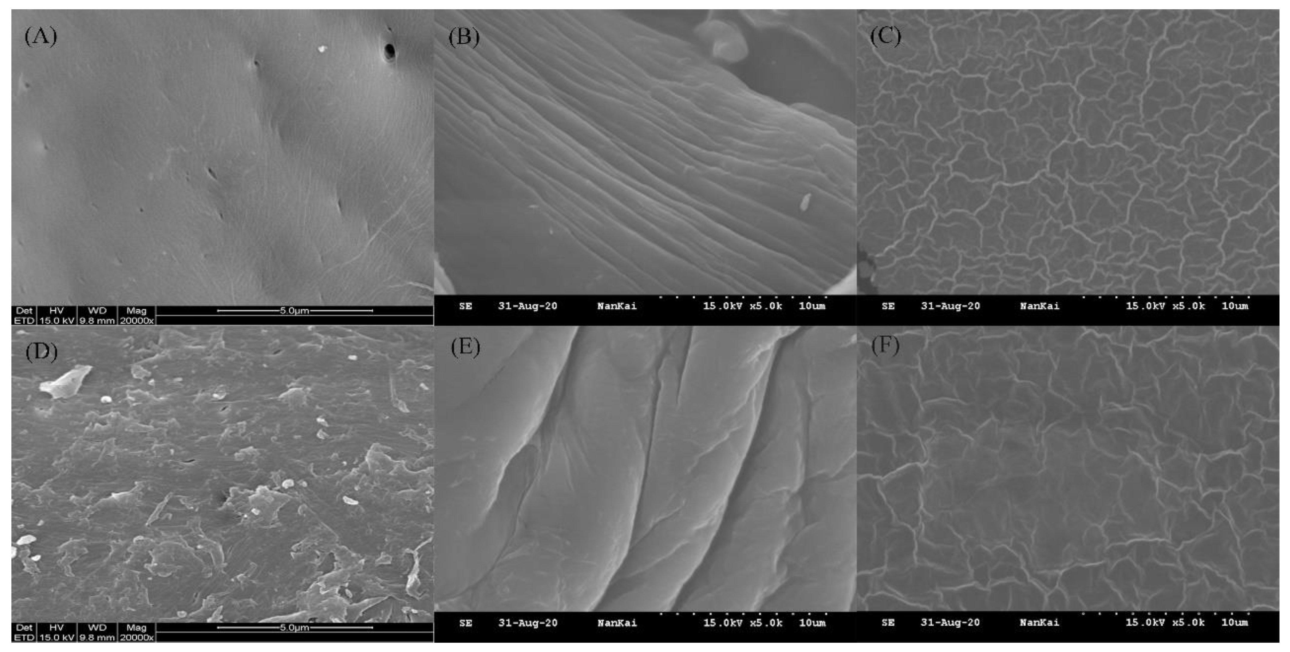 Insects 12 00053 g003 Insects 12 00053 g003