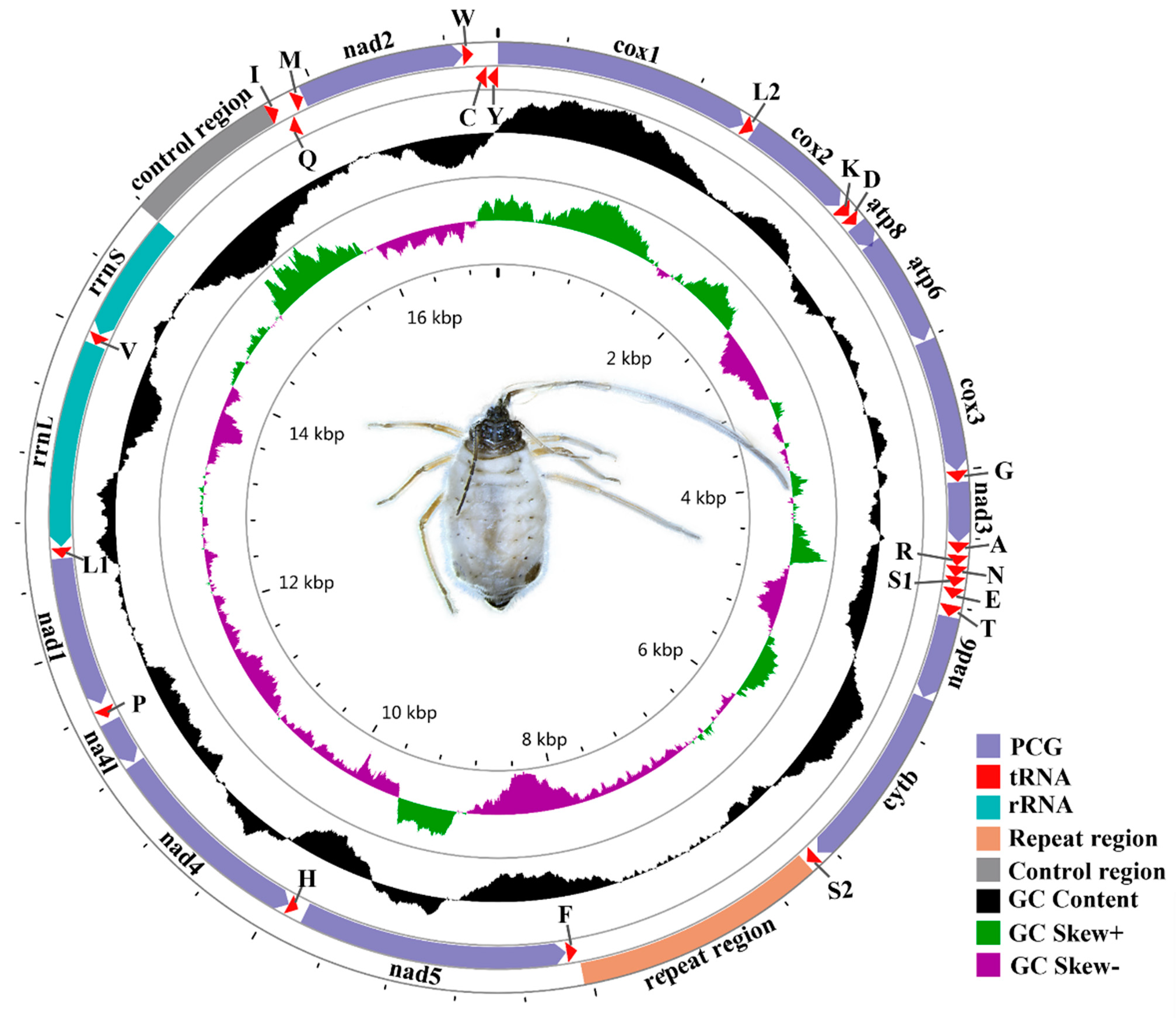 Insects 12 00055 g001 Insects 12 00055 g001