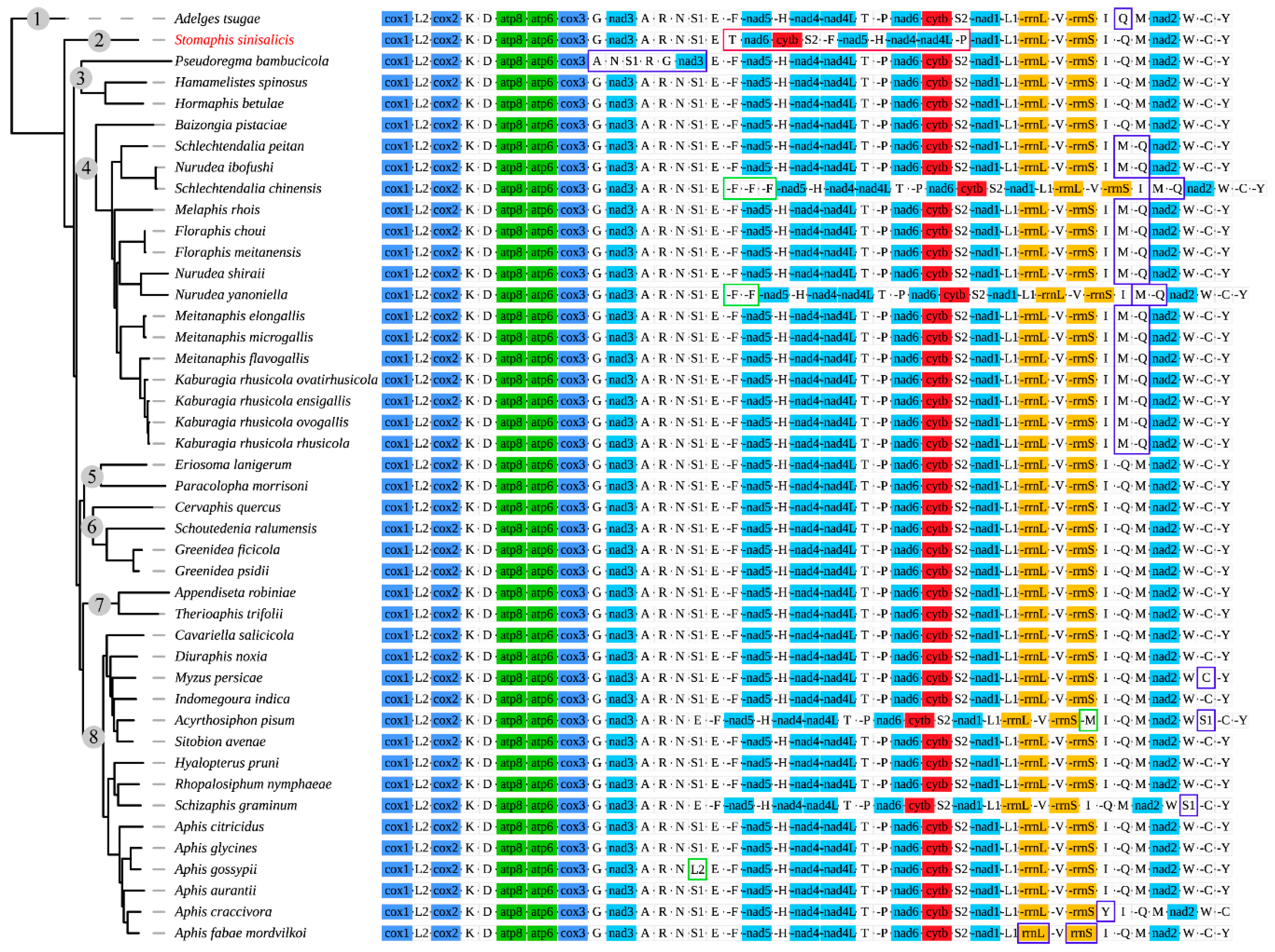 Insects 12 00055 g004 Insects 12 00055 g004