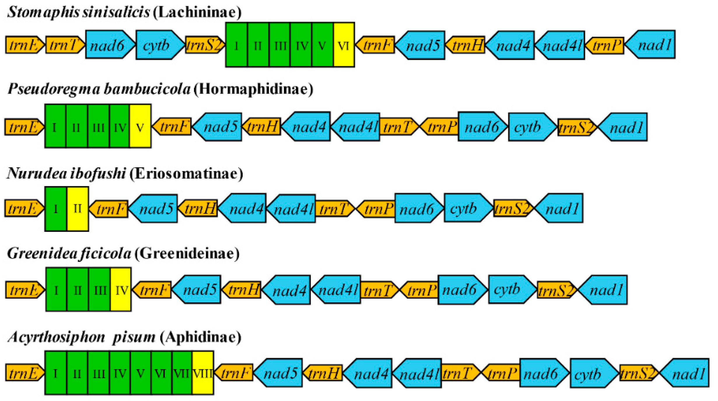 Insects 12 00055 g007 Insects 12 00055 g007
