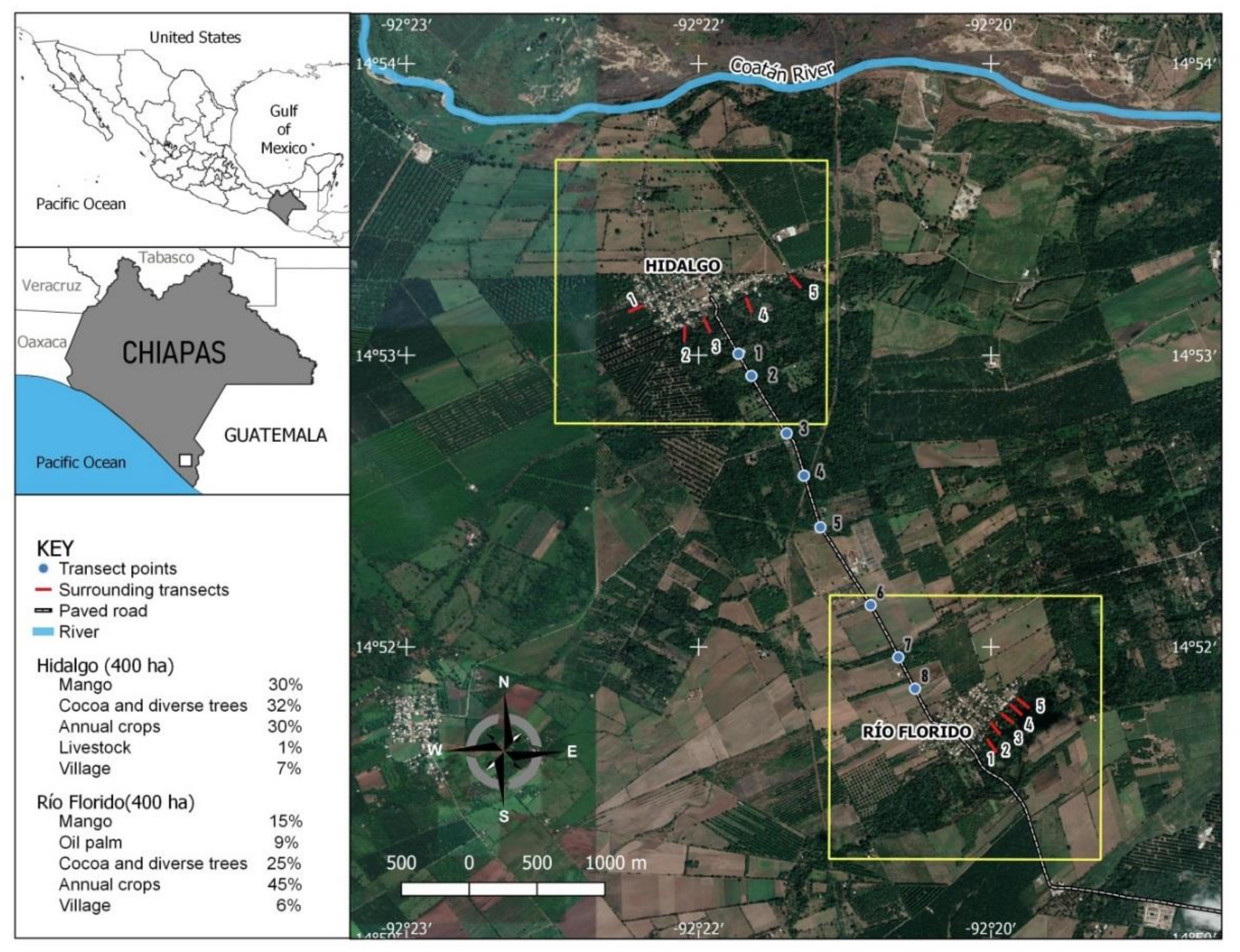 Insects Free Full Text Population Dynamics Of Aedes Aegypti And Aedes Albopictus In Two Rural Villages In Southern Mexico Baseline Data For An Evaluation Of The Sterile Insect Technique Html