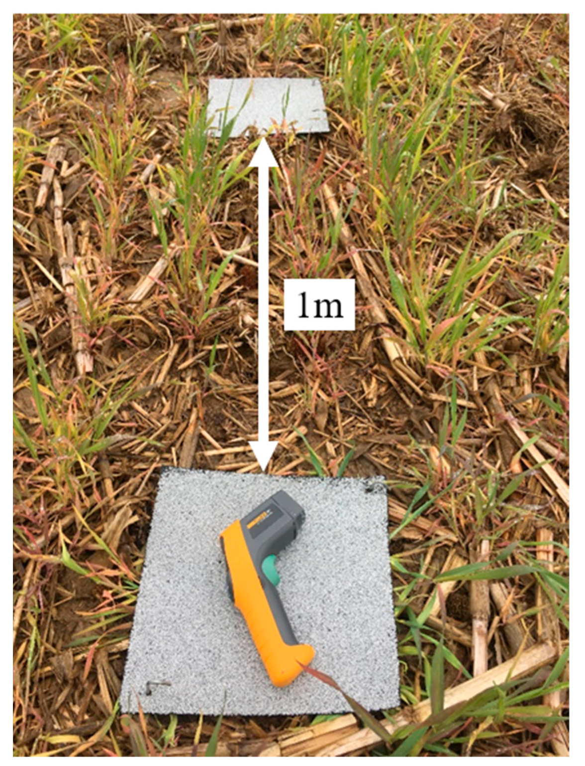 Insects 12 00062 g002