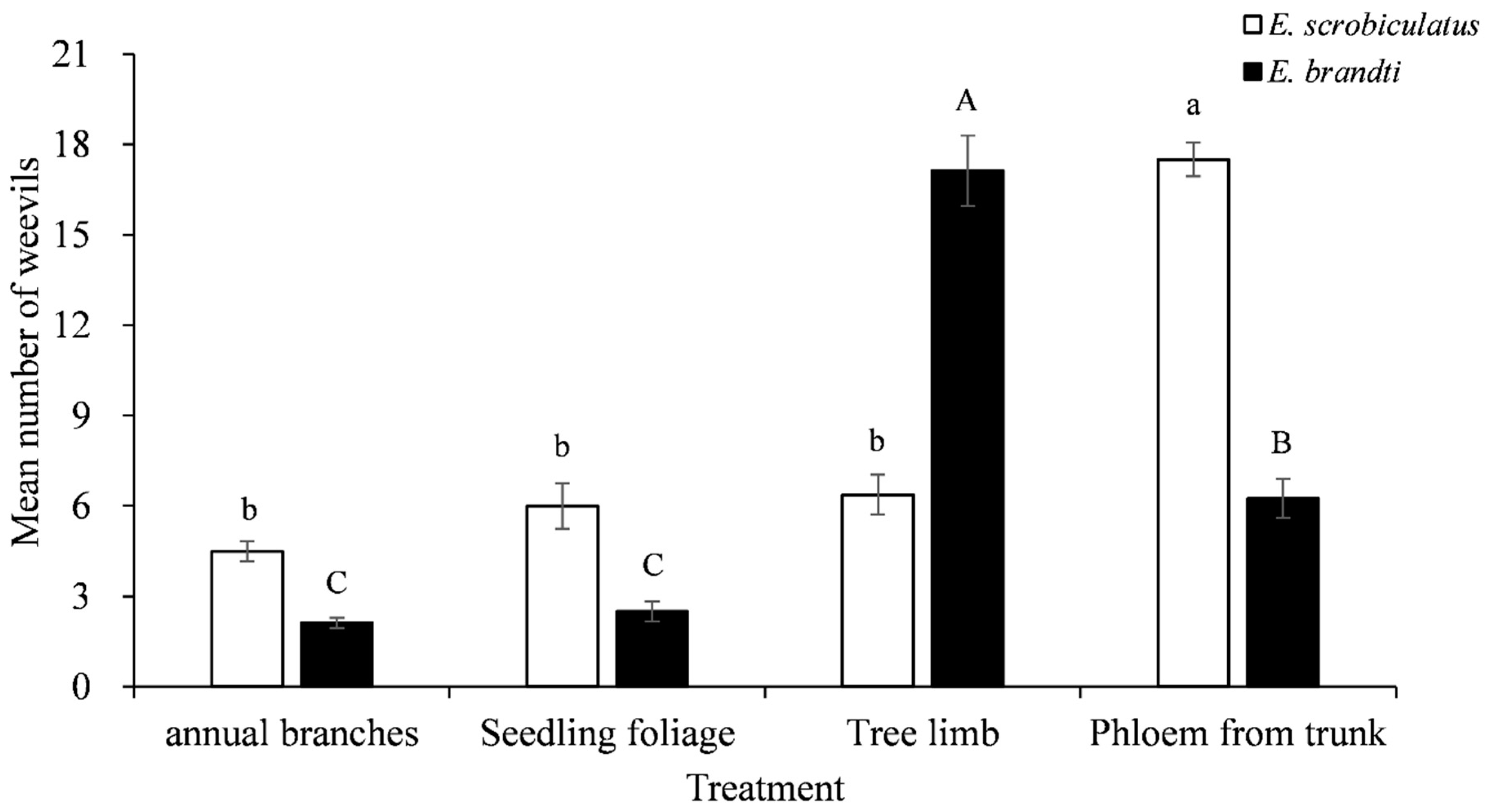 Insects 12 00068 g001