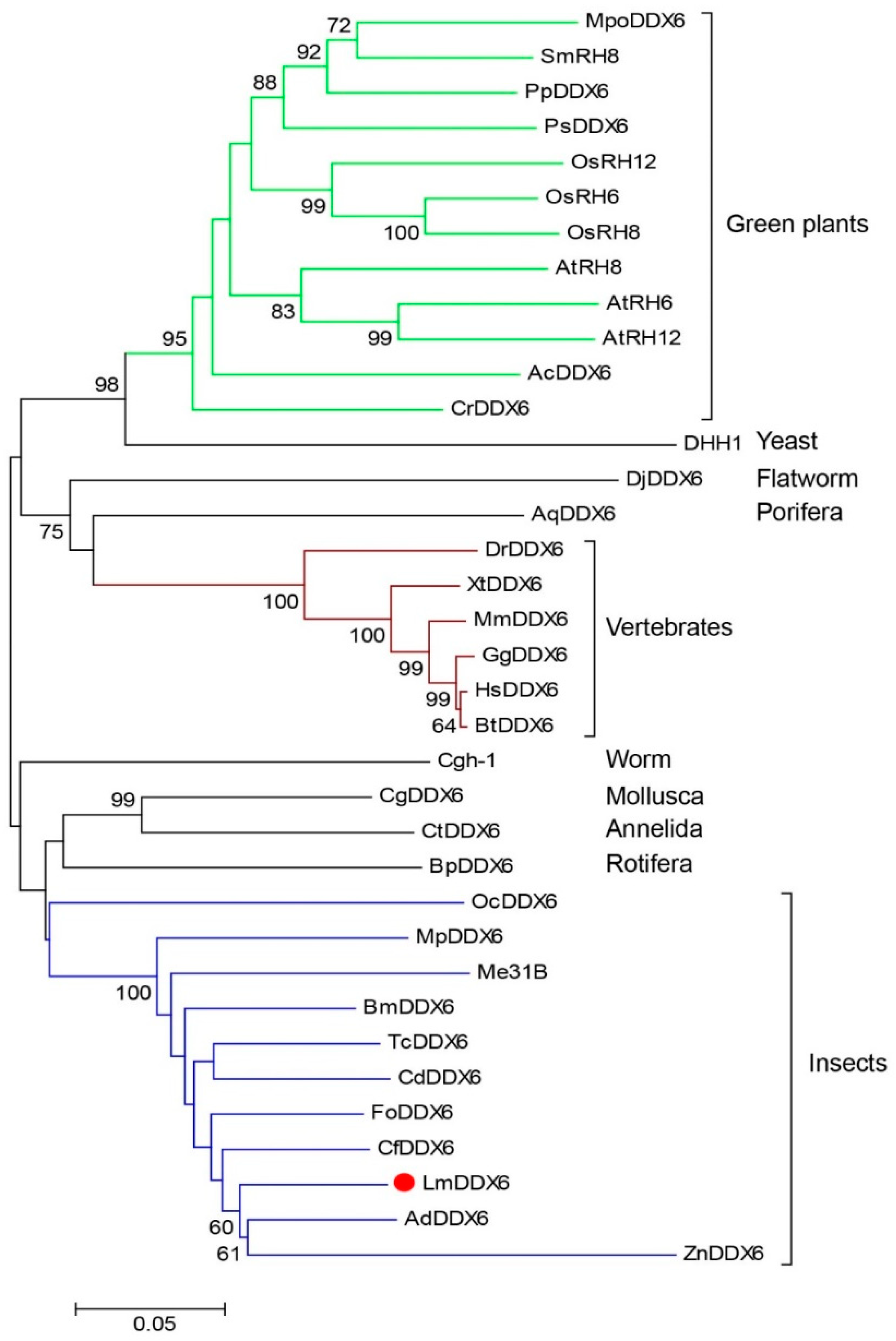 Insects 12 00070 g002