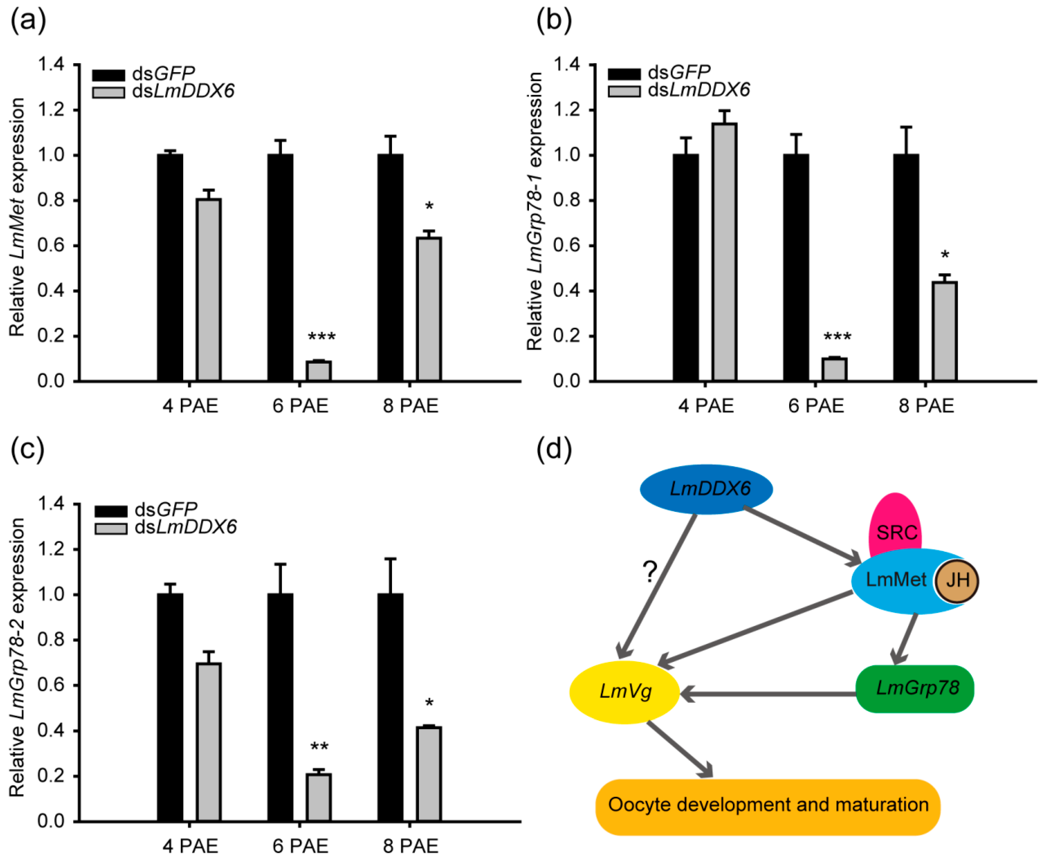 Insects 12 00070 g006