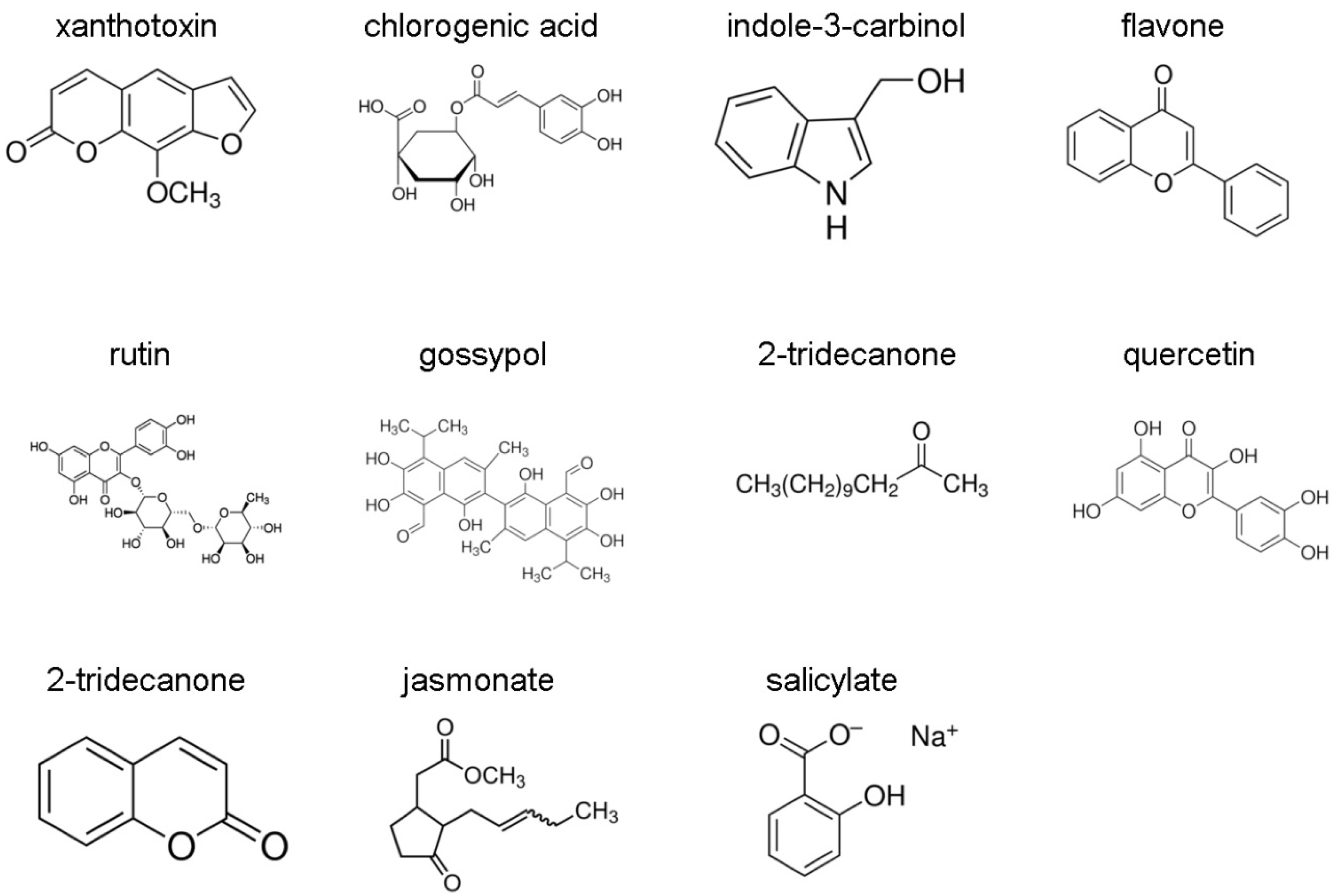 Insects 12 00075 g001
