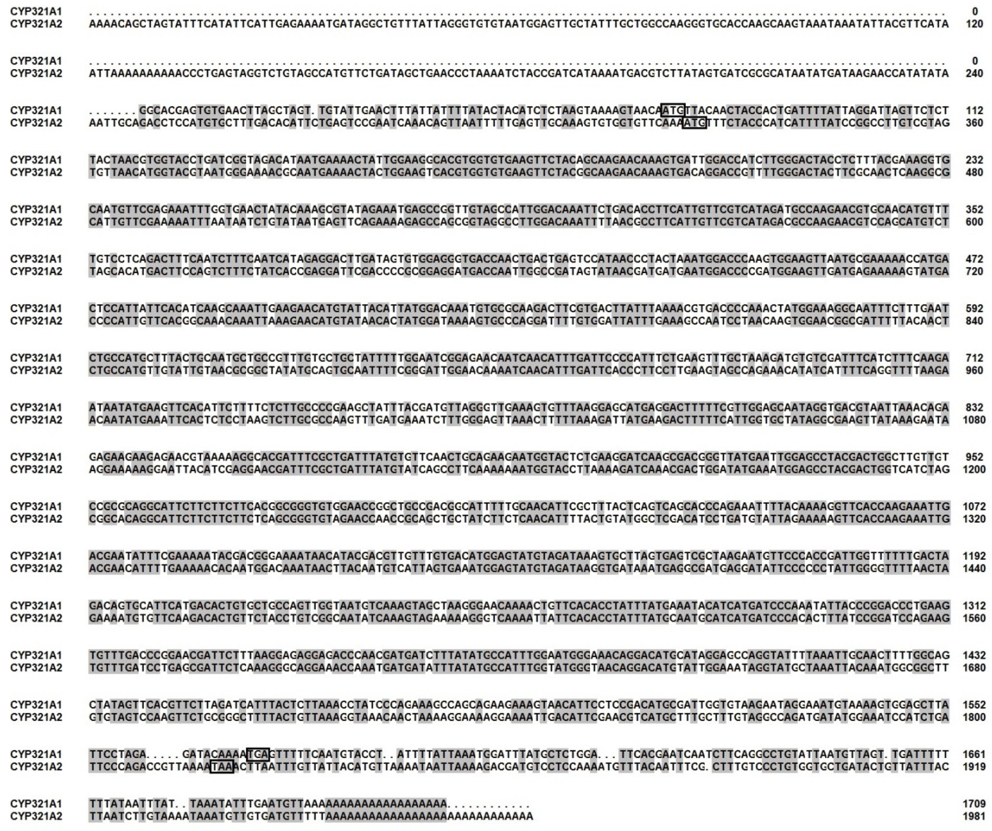 Insects 12 00075 g003