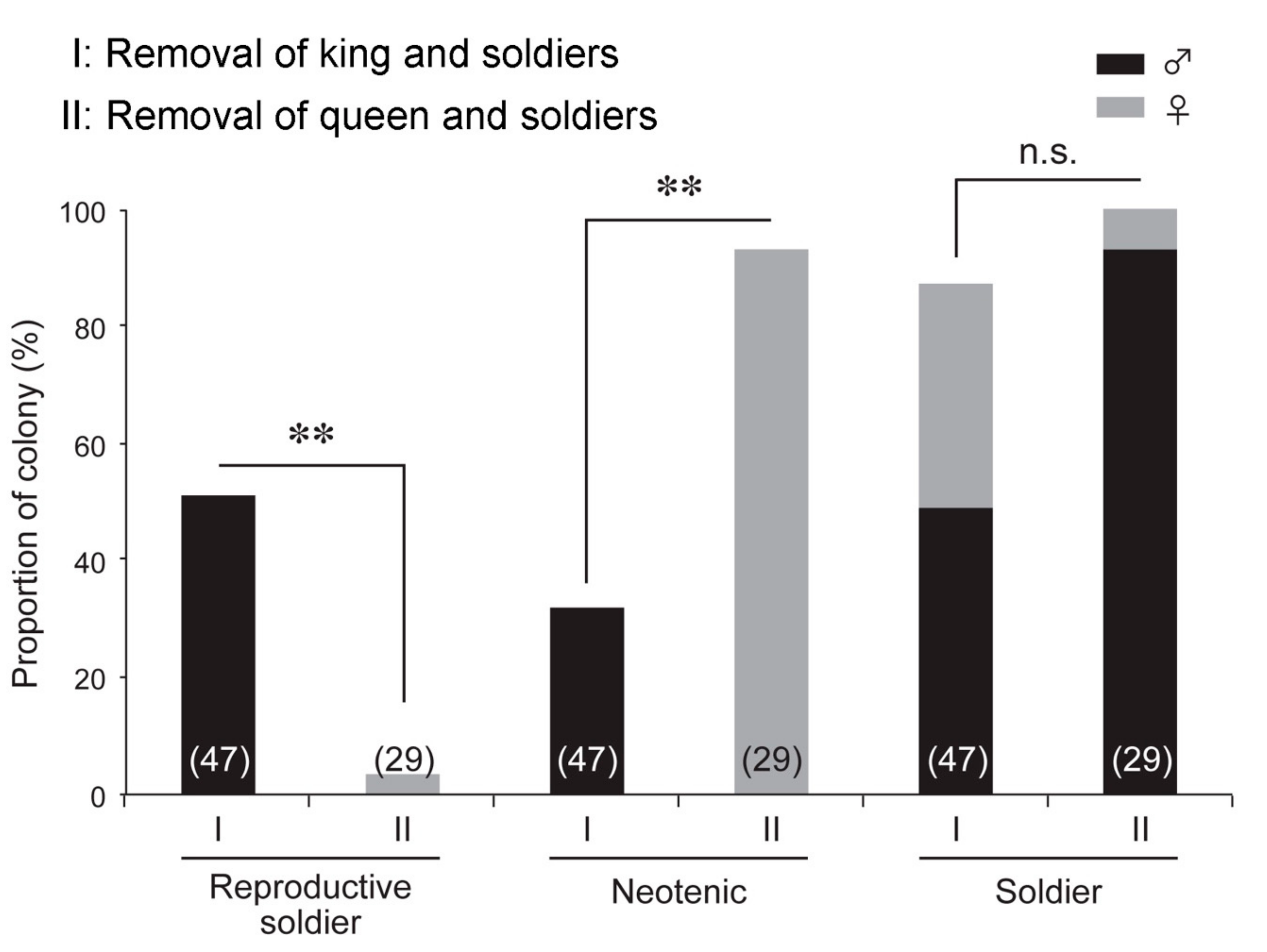 Insects Free Full Text Reproductive Soldier Development Is Controlled By Direct Physical Interactions With Reproductive And Soldier Termites Html