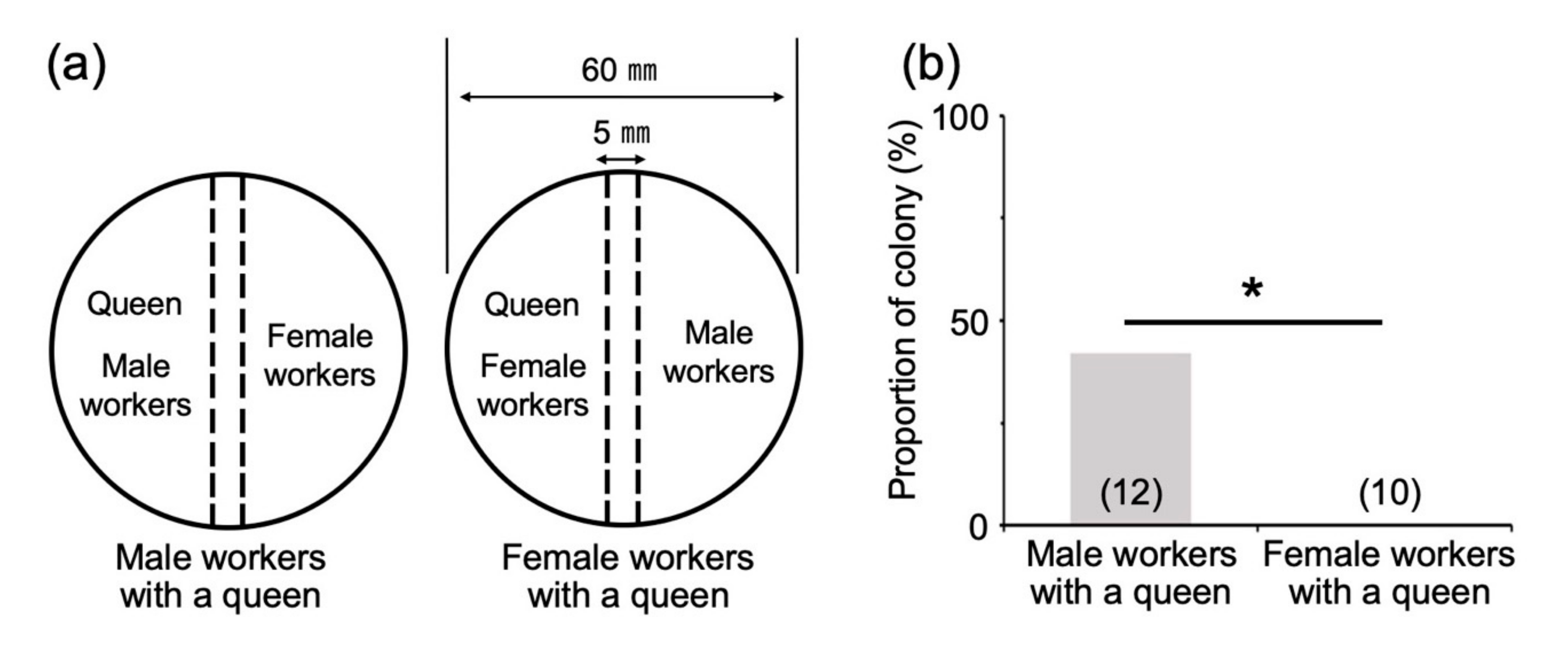 Insects 12 00076 g006