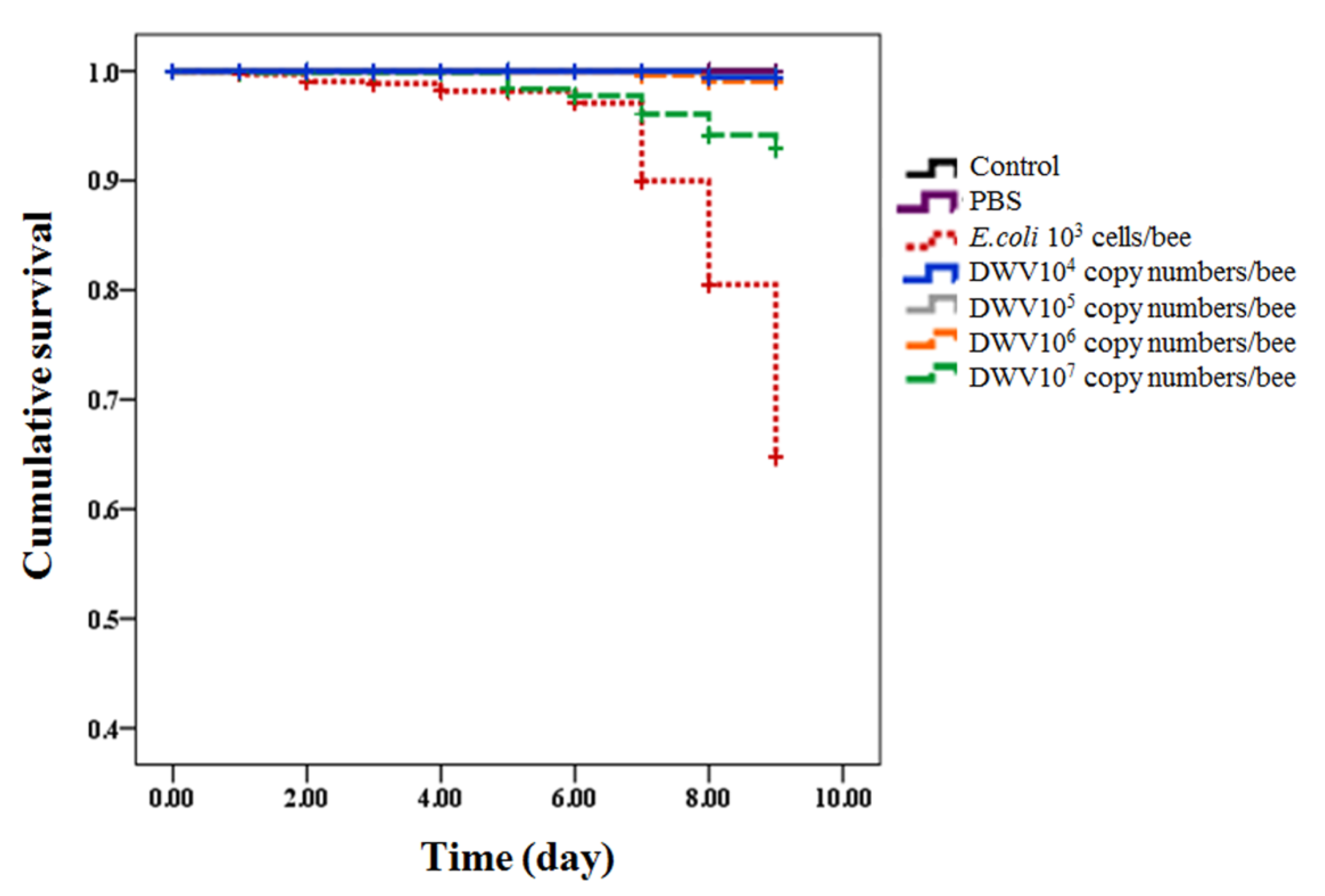 Insects 12 00082 g001