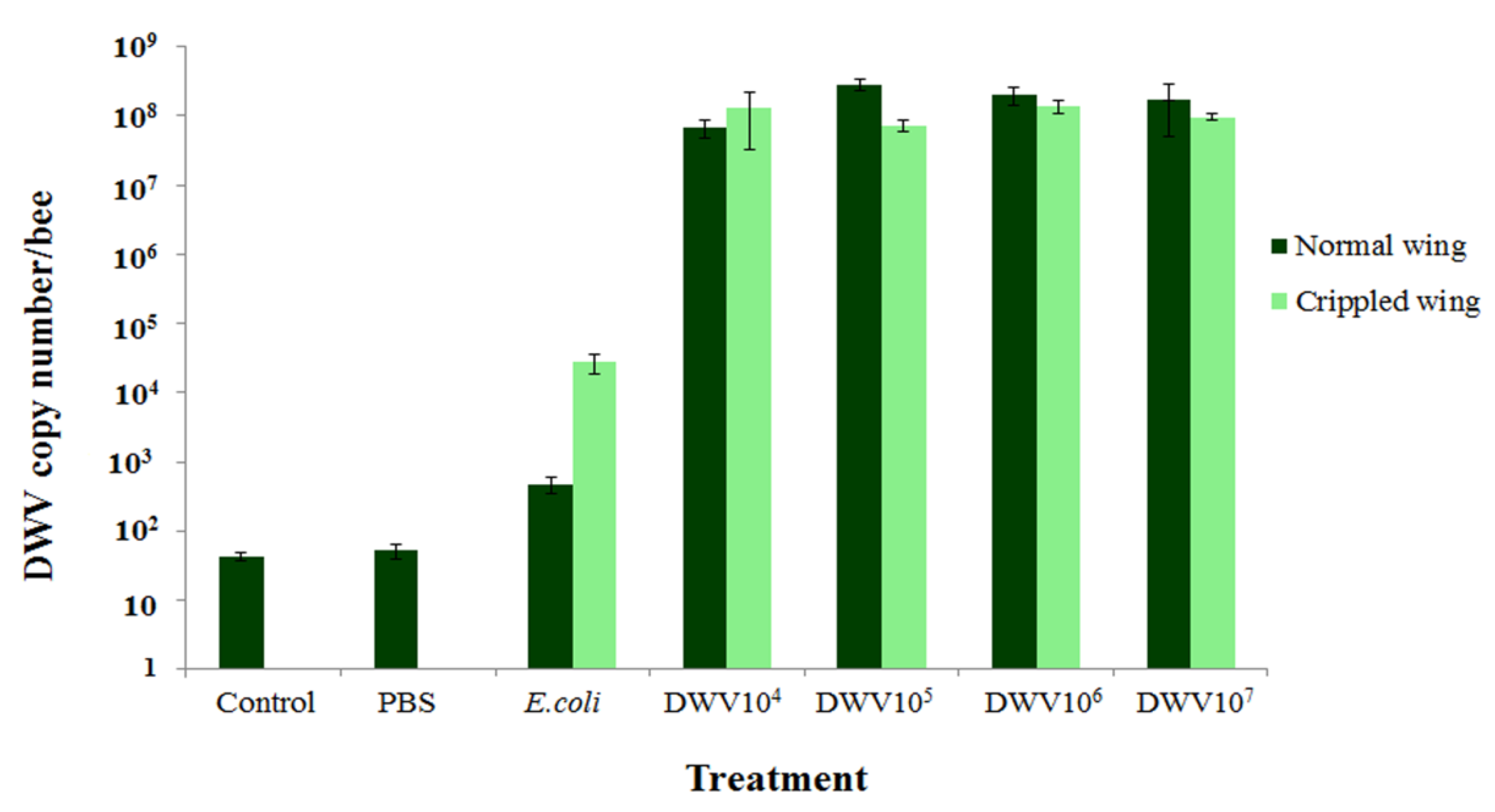 Insects 12 00082 g002