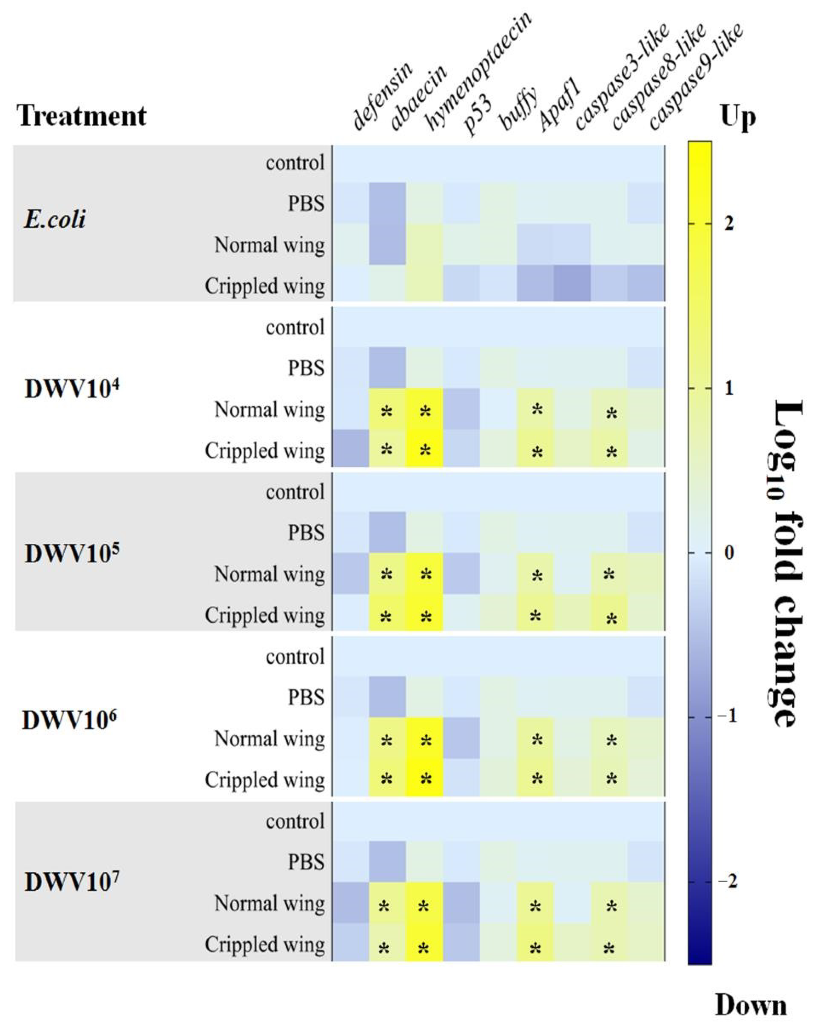 Insects 12 00082 g003