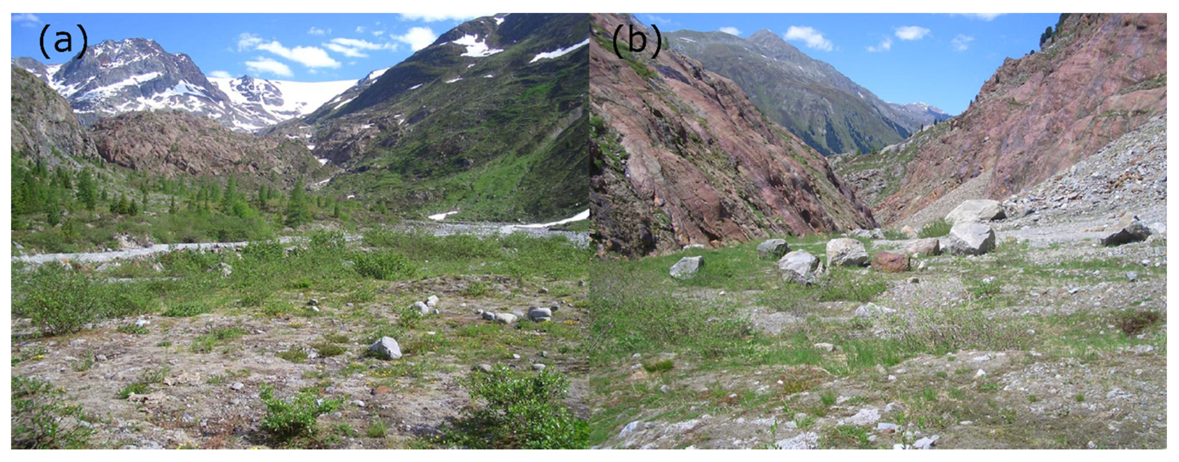 Insects 12 00084 g006