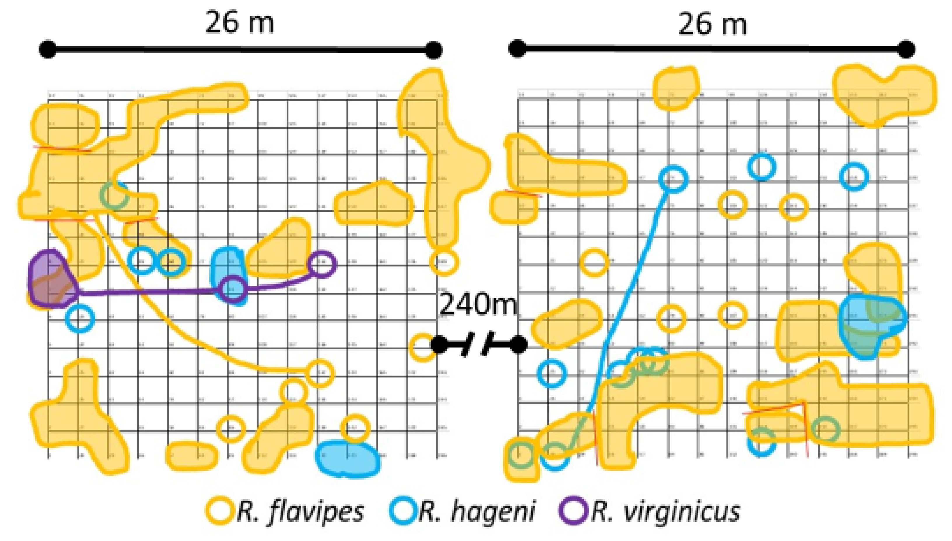 Insects 12 00086 g001