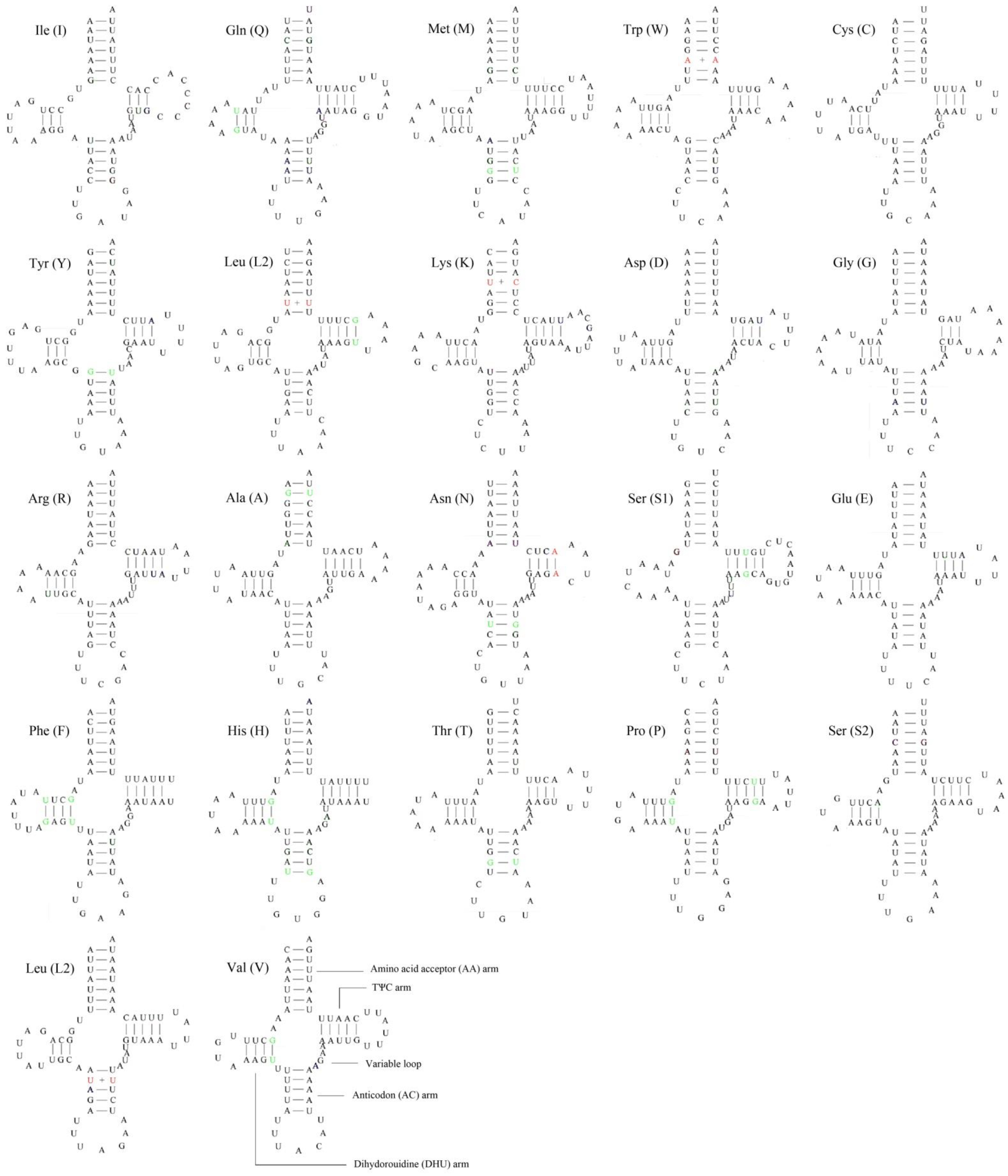 Insects 12 00087 g004