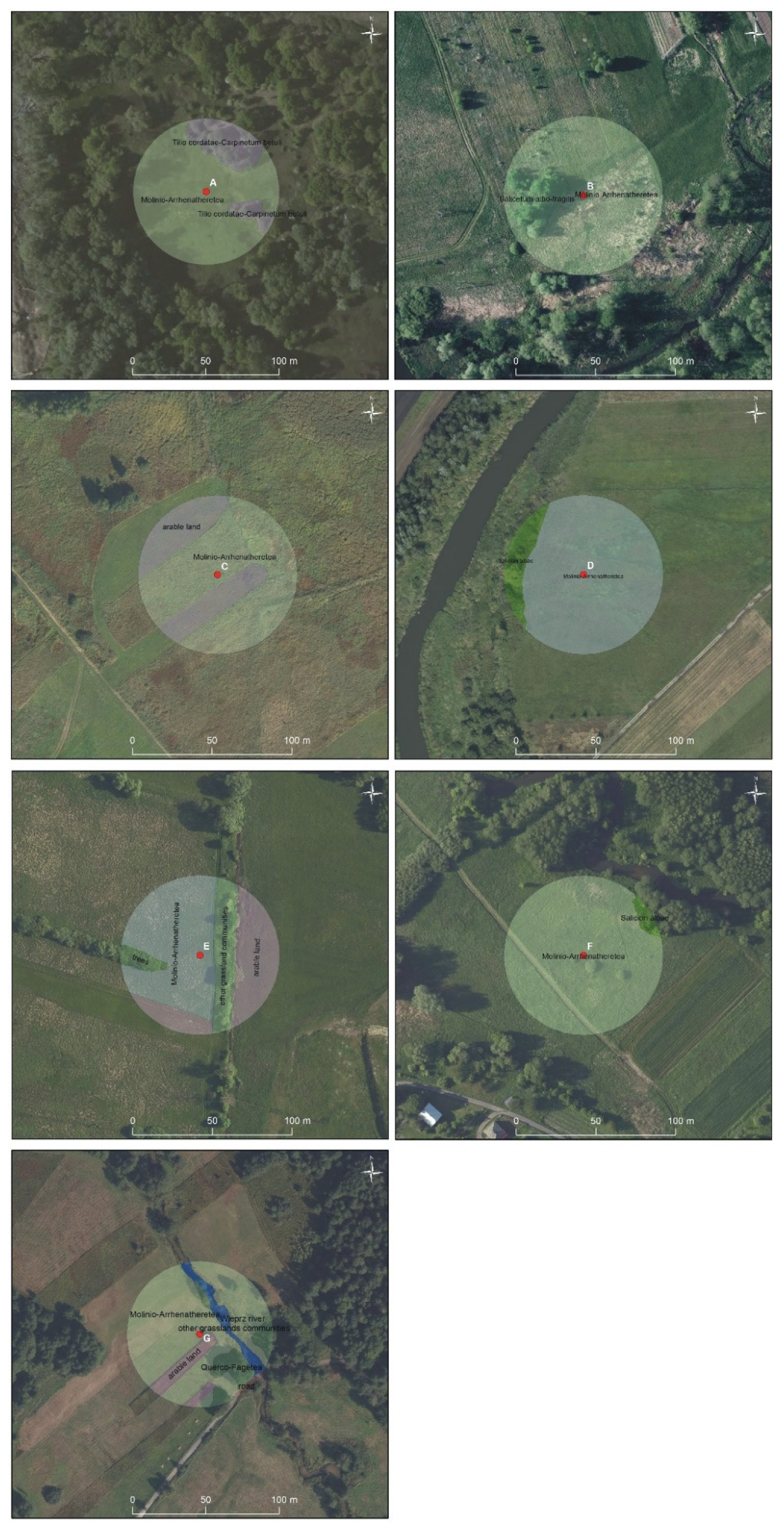 Insects 12 00096 g0a1