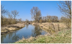 Insects 12 00096 i003