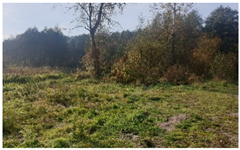 Insects 12 00096 i007