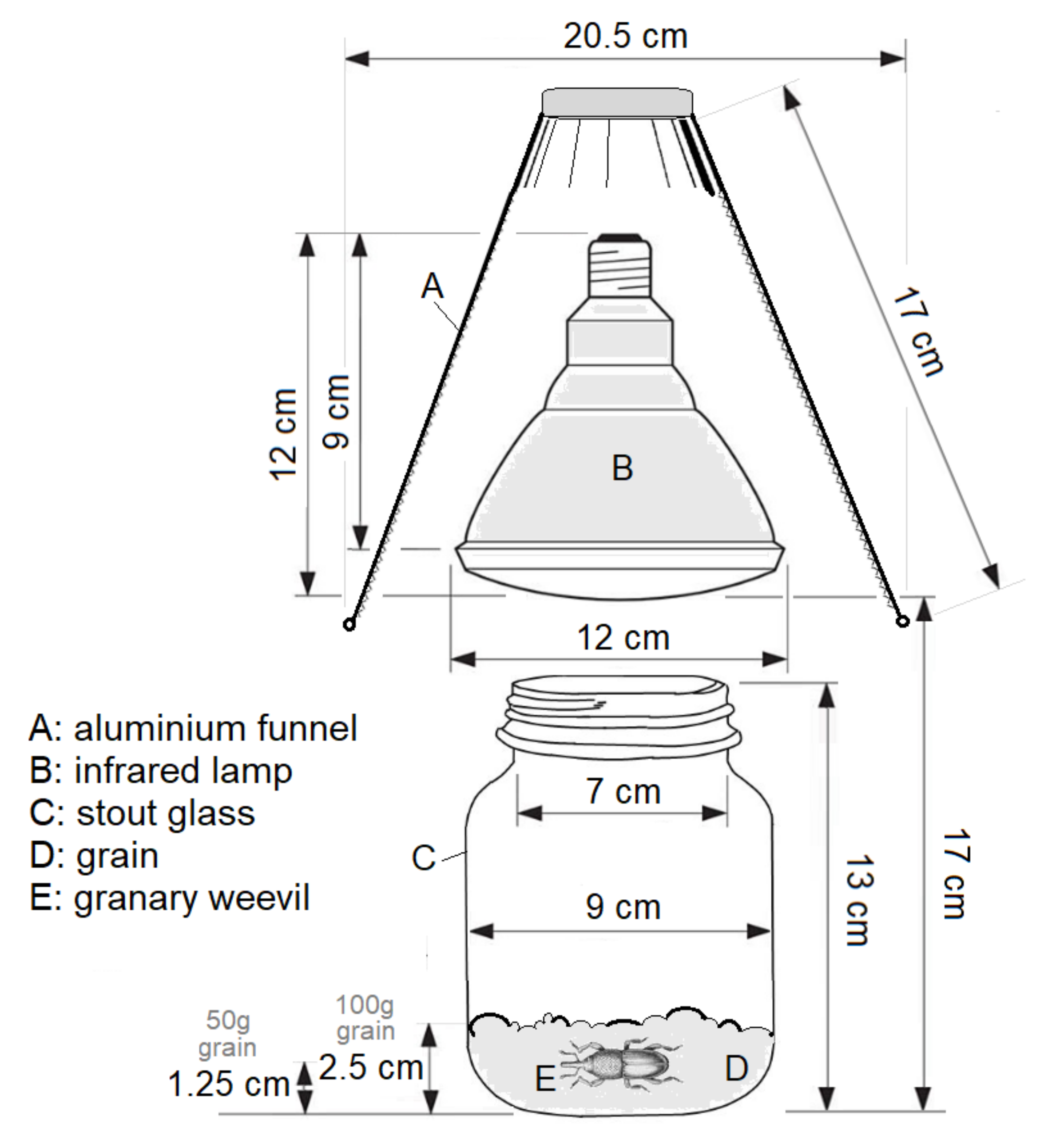 Insects 12 00102 g001