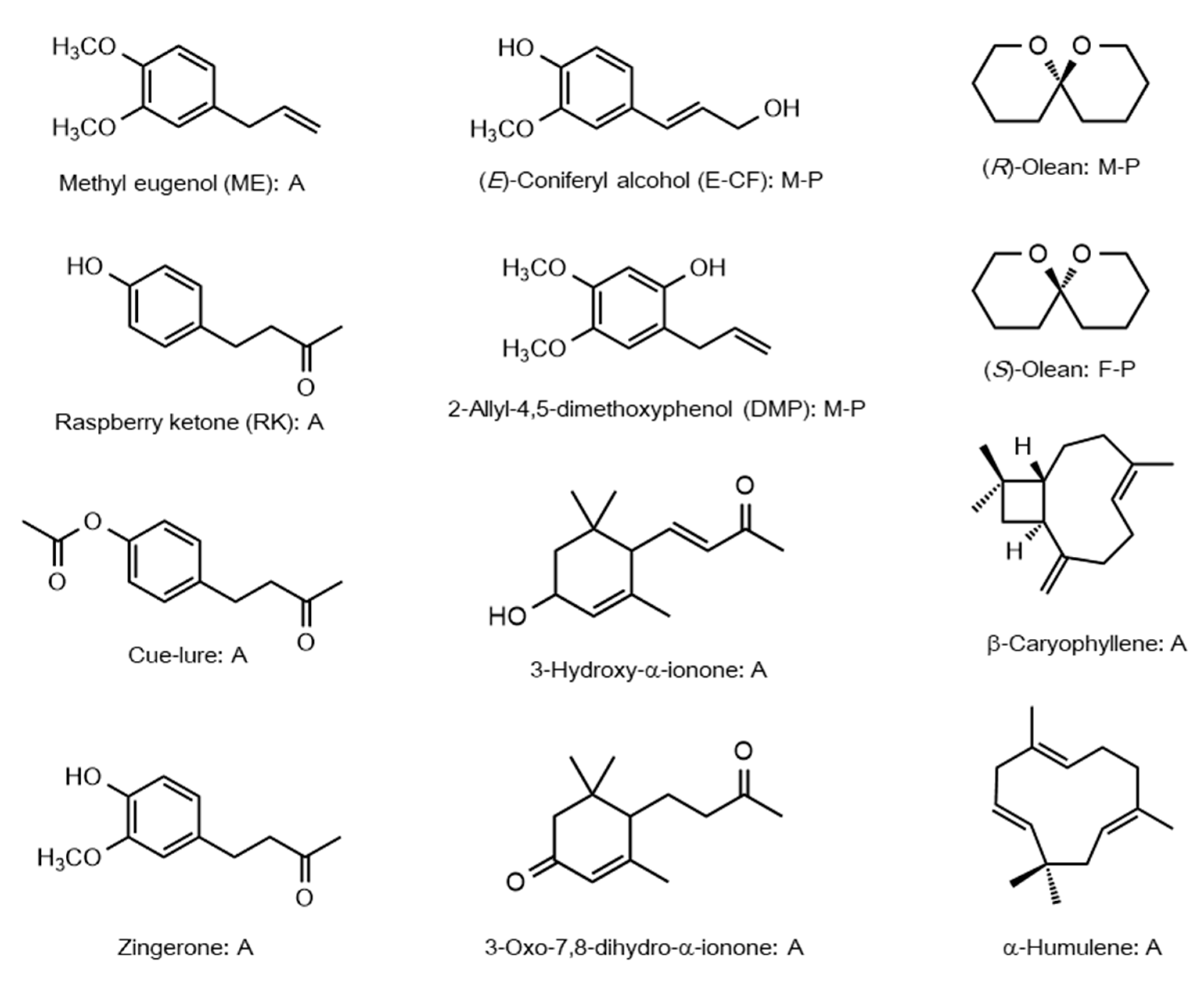 Insects 12 00106 g001 Insects 12 00106 g001