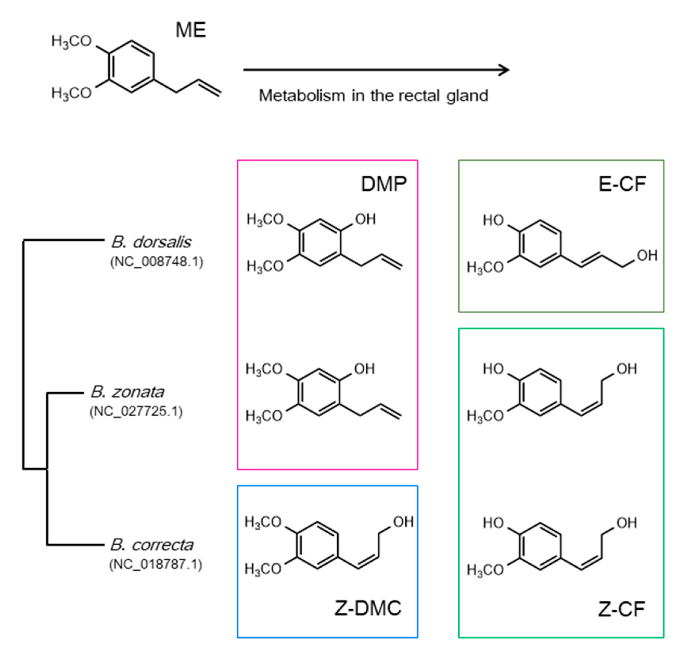 Insects 12 00106 g003 Insects 12 00106 g003