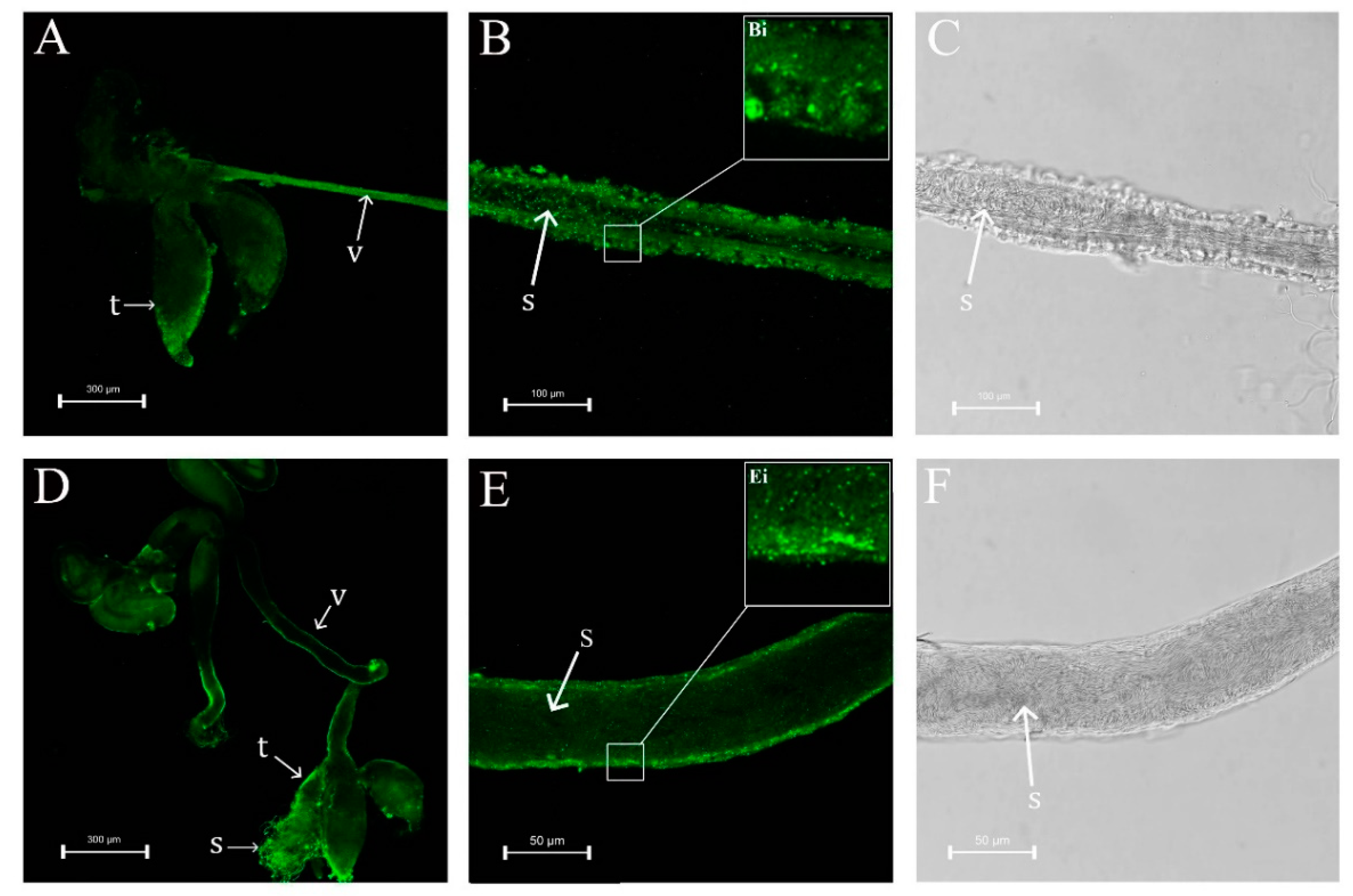 Insects 12 00114 g005 Insects 12 00114 g005