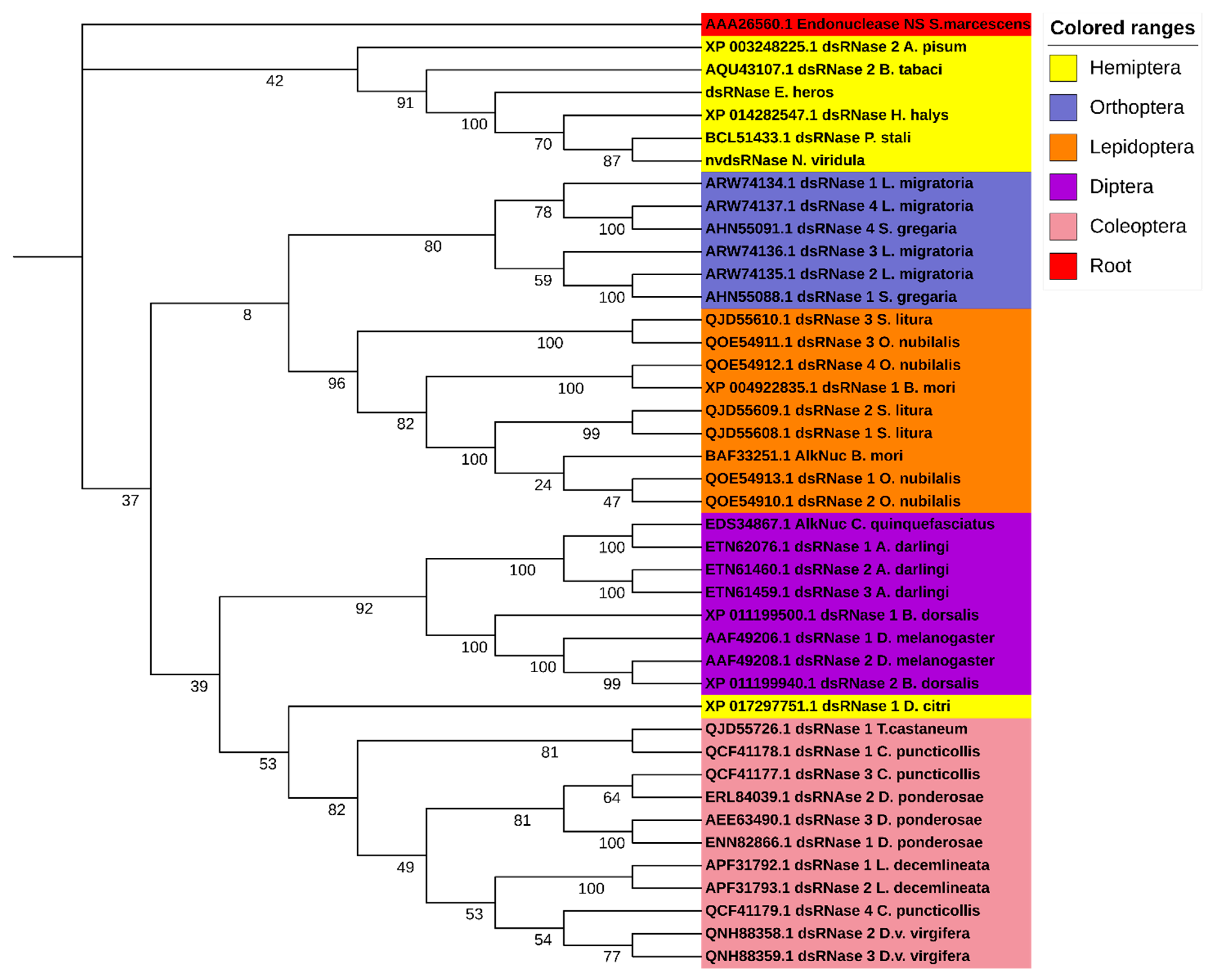 Insects 12 00115 g001