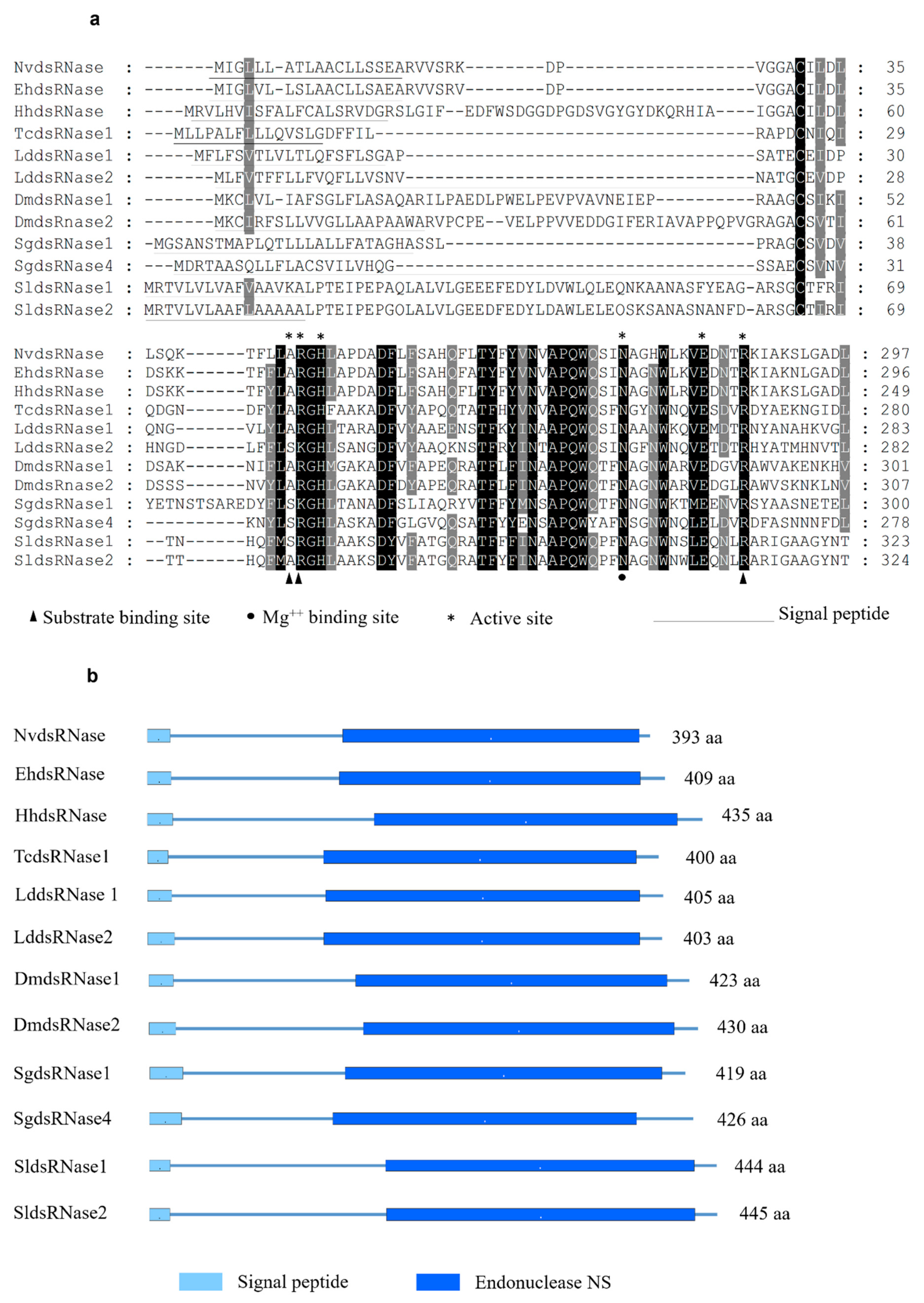 Insects 12 00115 g002