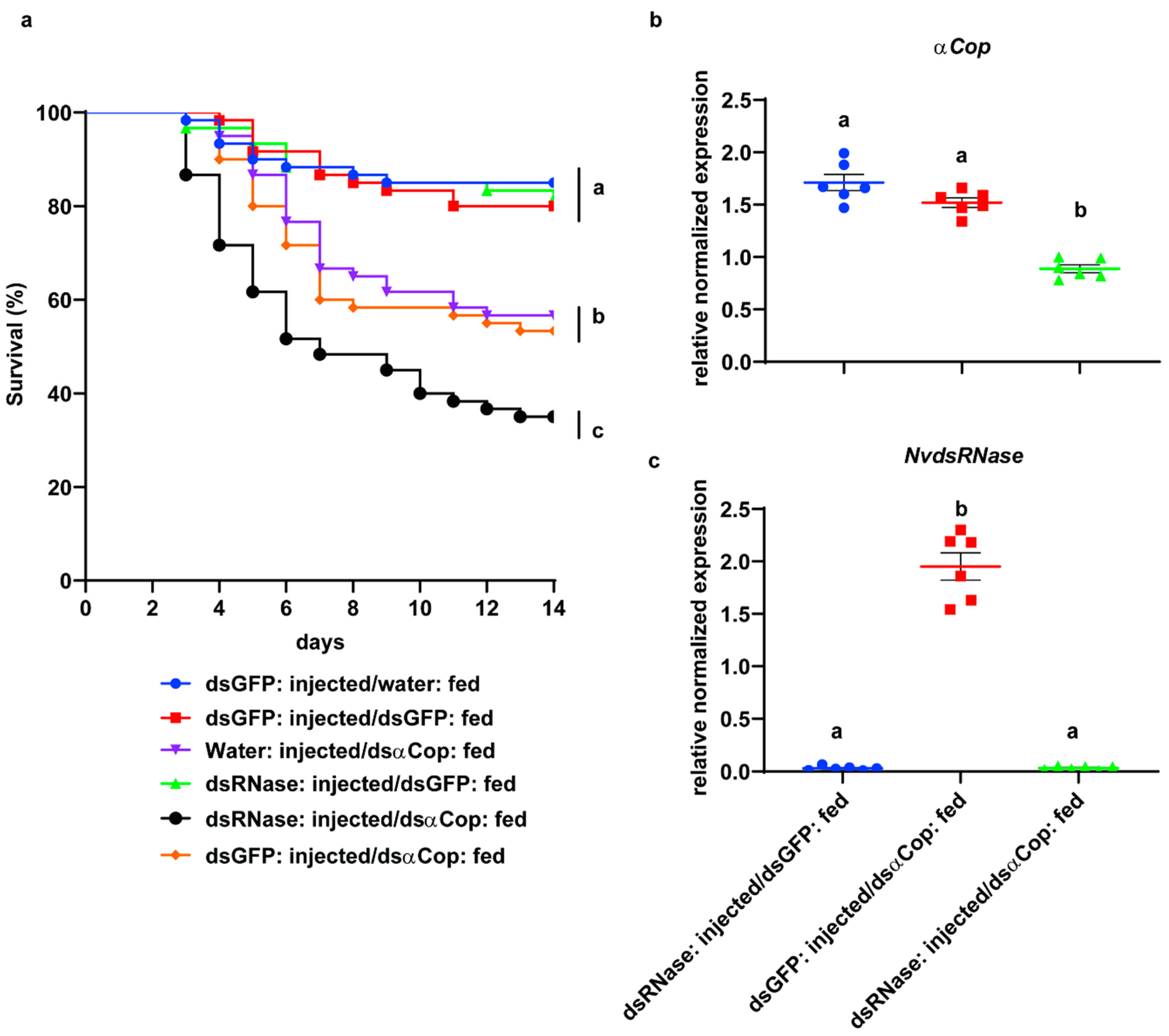 Insects 12 00115 g004