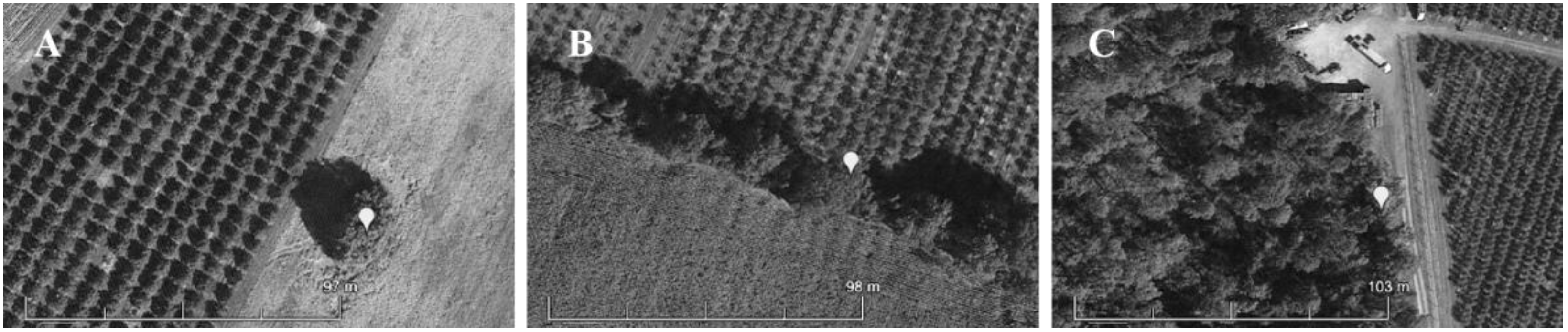 Insects 12 00118 g001 Insects 12 00118 g001