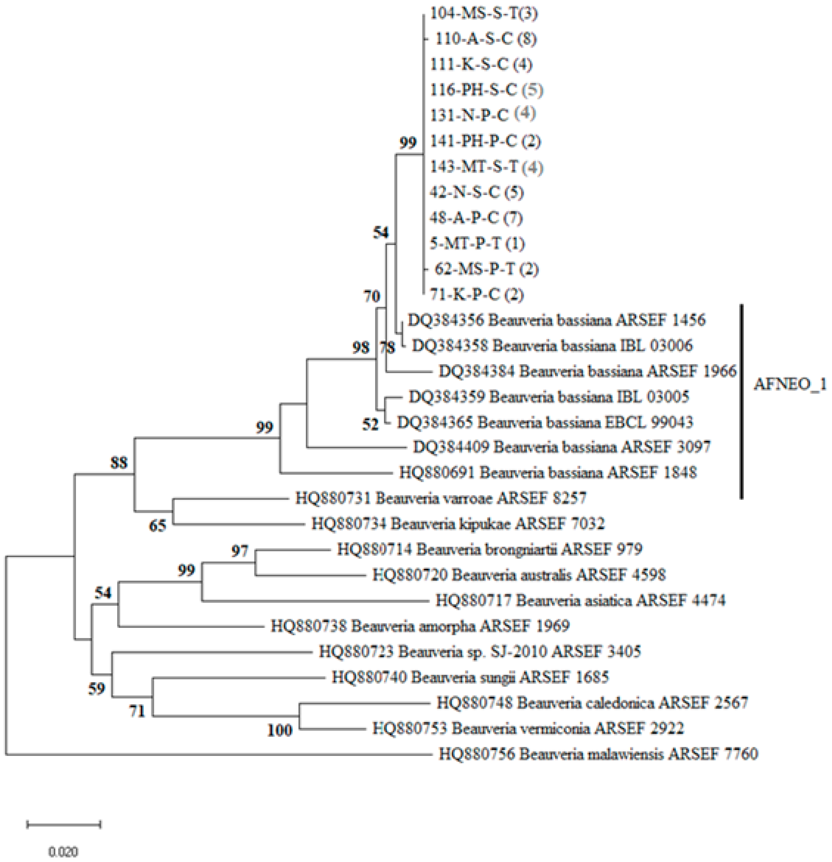 Insects 12 00160 g002