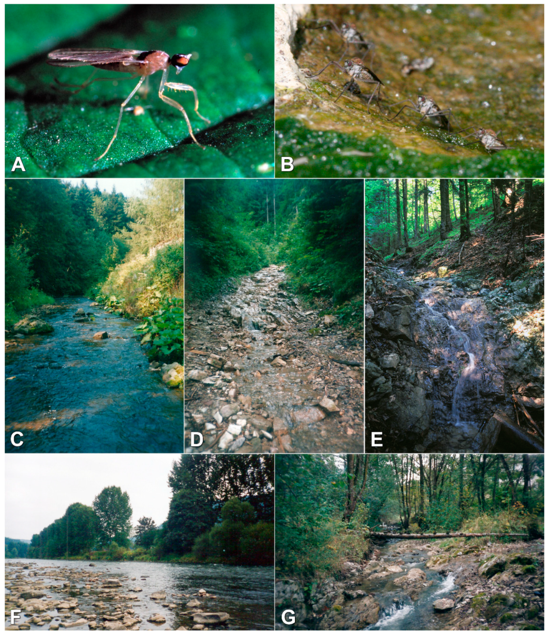 Insects 12 00165 g002