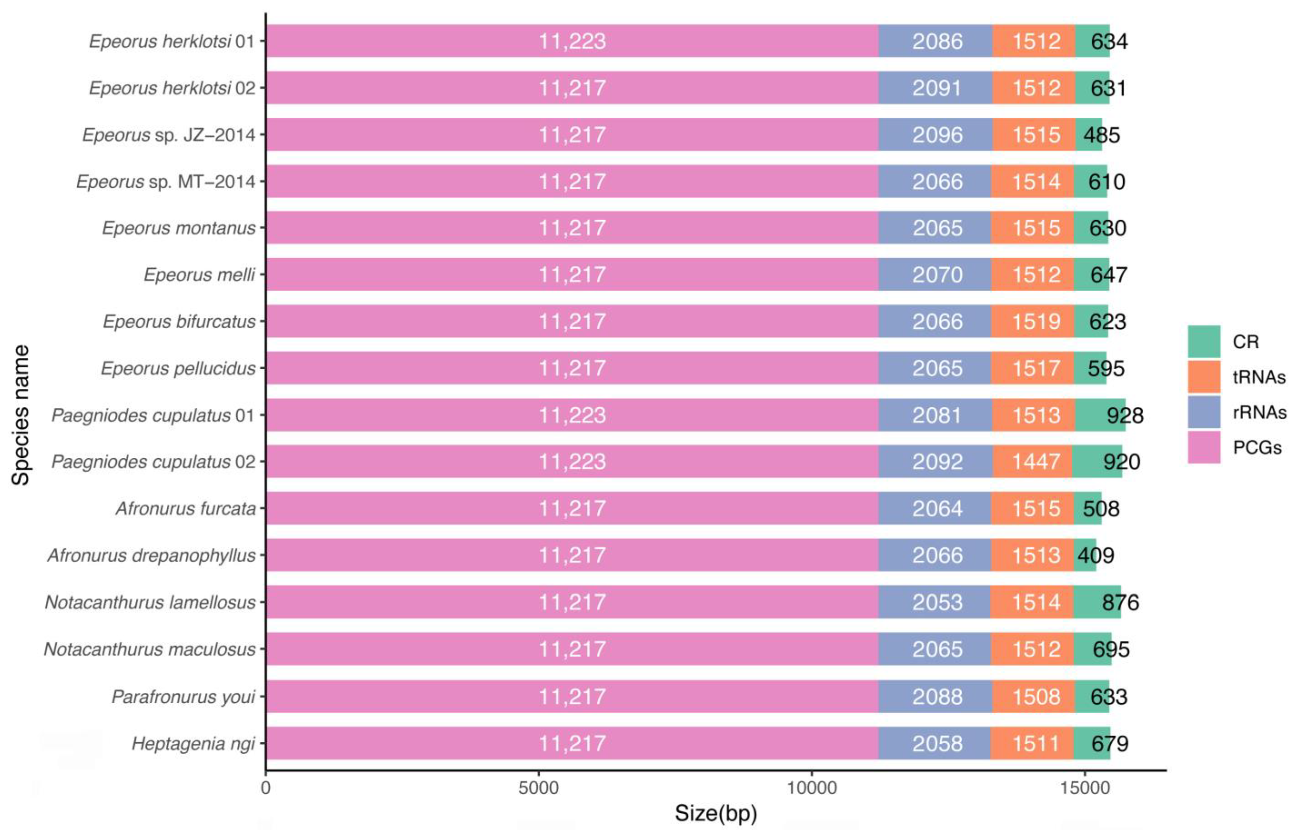 Insects 12 00170 g001 Insects 12 00170 g001