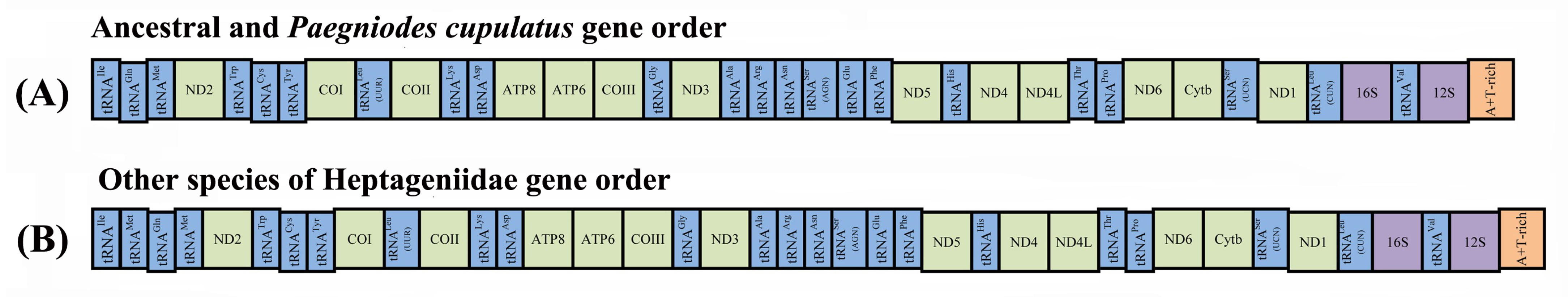 Insects 12 00170 g002 Insects 12 00170 g002