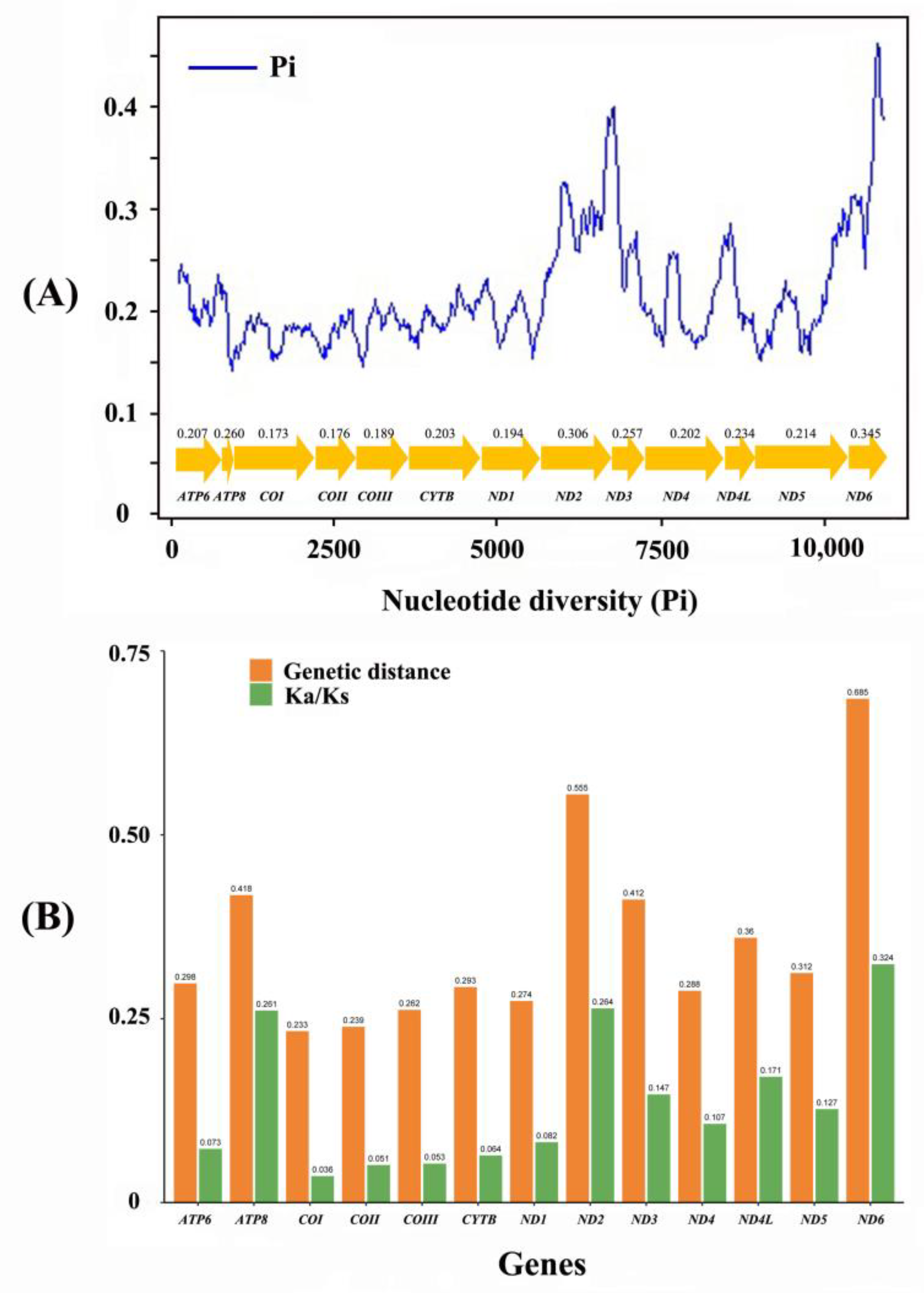 Insects 12 00170 g004 Insects 12 00170 g004