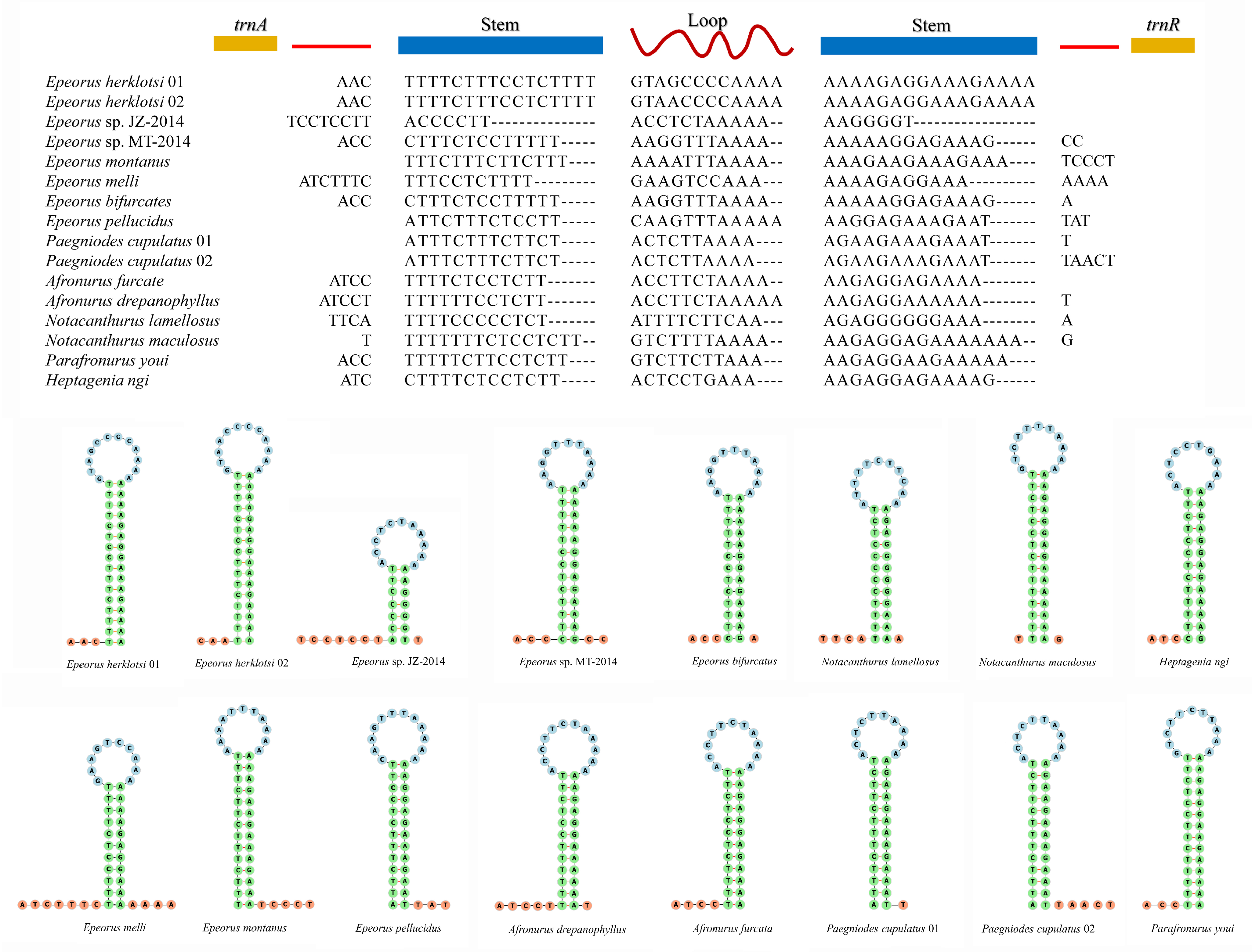 Insects 12 00170 g005 Insects 12 00170 g005