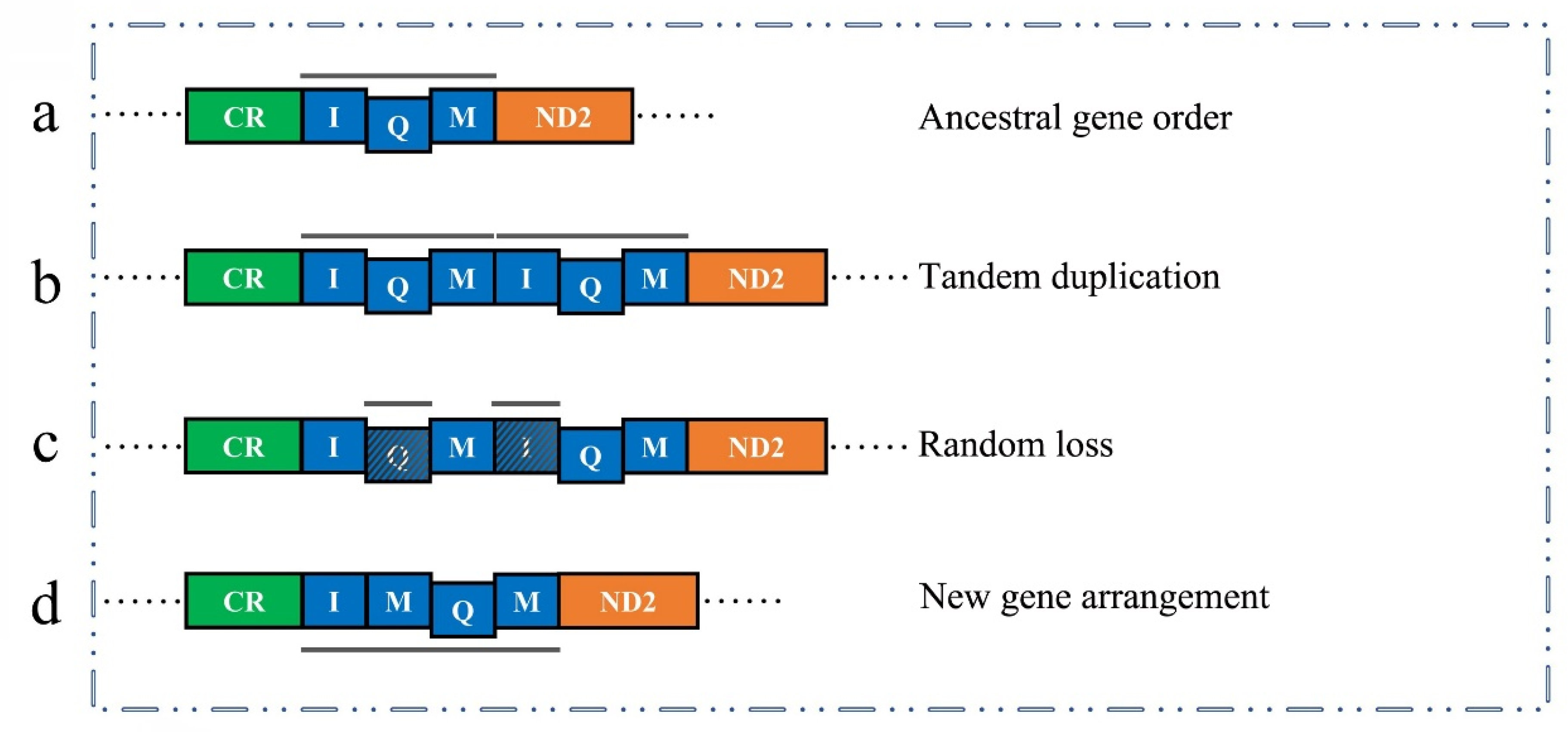 Insects 12 00170 g006 Insects 12 00170 g006
