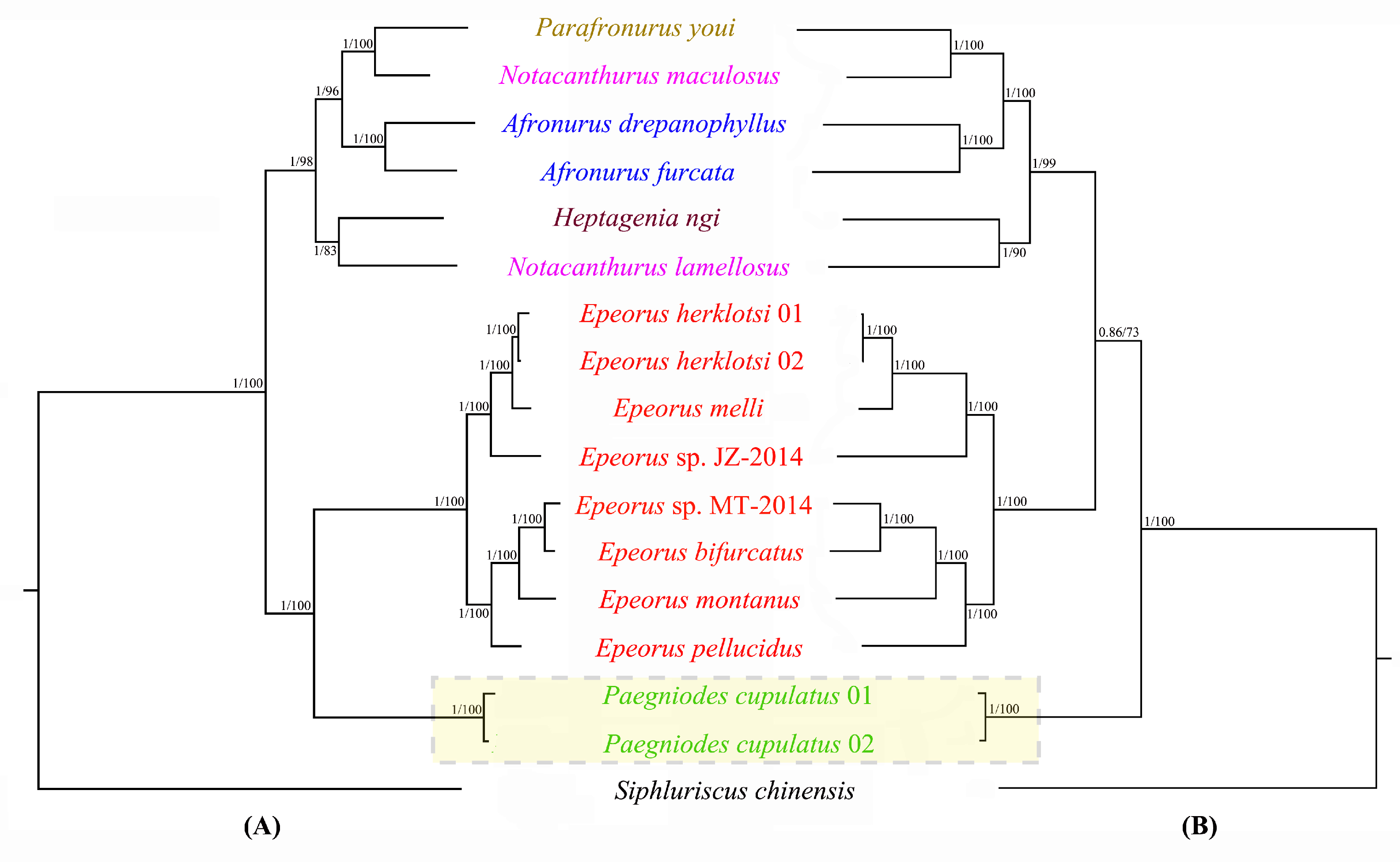 Insects 12 00170 g007 Insects 12 00170 g007